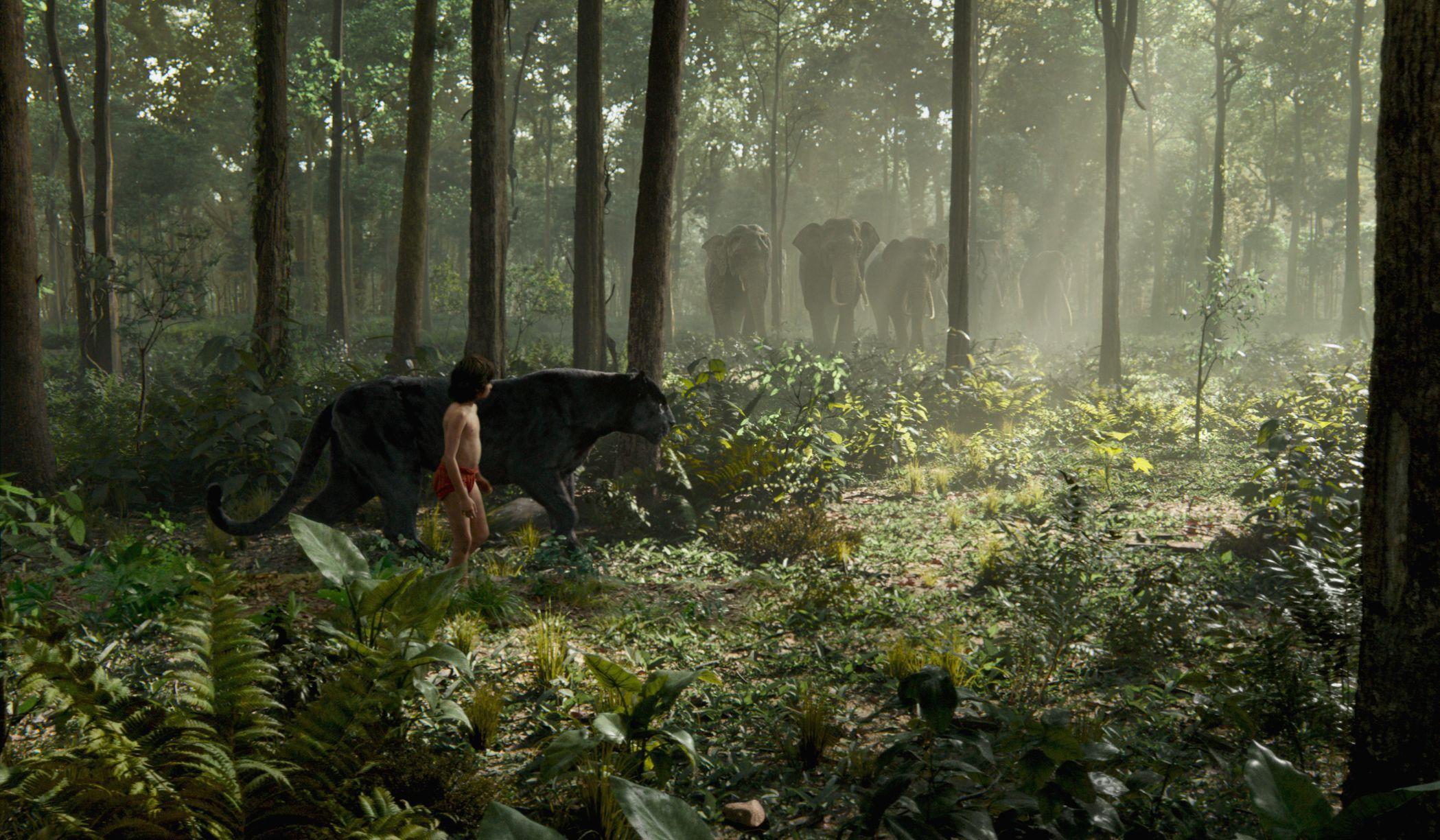 Bagheera &Amp; Mowgli Jungle Book Wallpapers