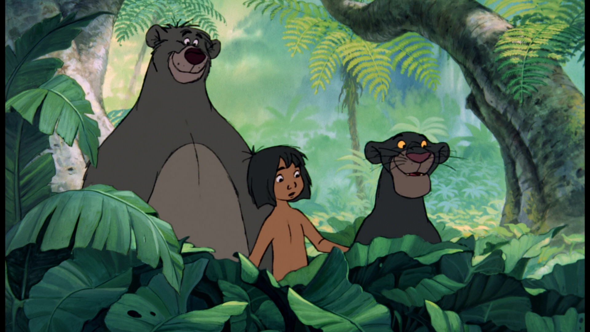 Bagheera &Amp; Mowgli Jungle Book Wallpapers