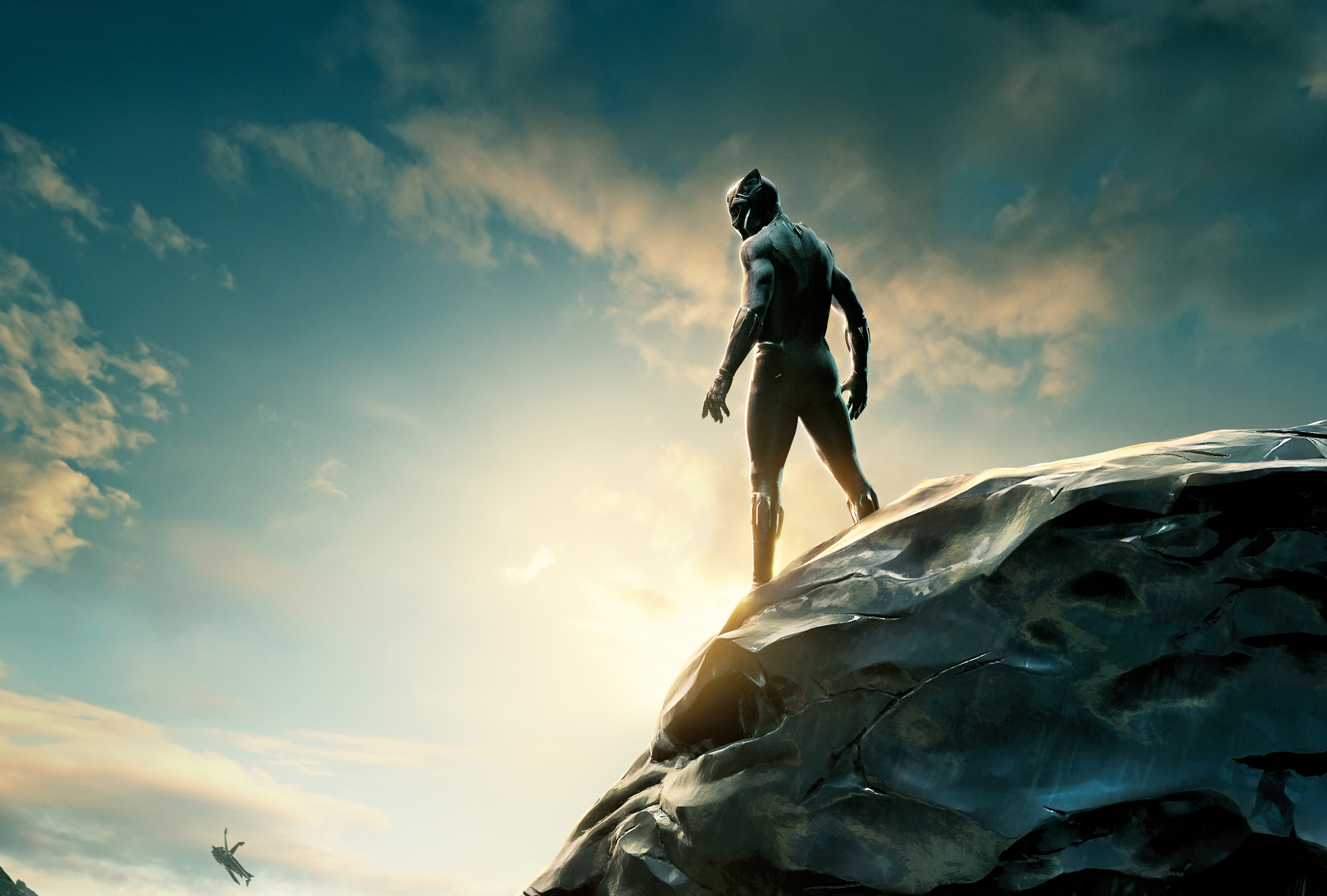 Black Panther 2017 Wallpapers