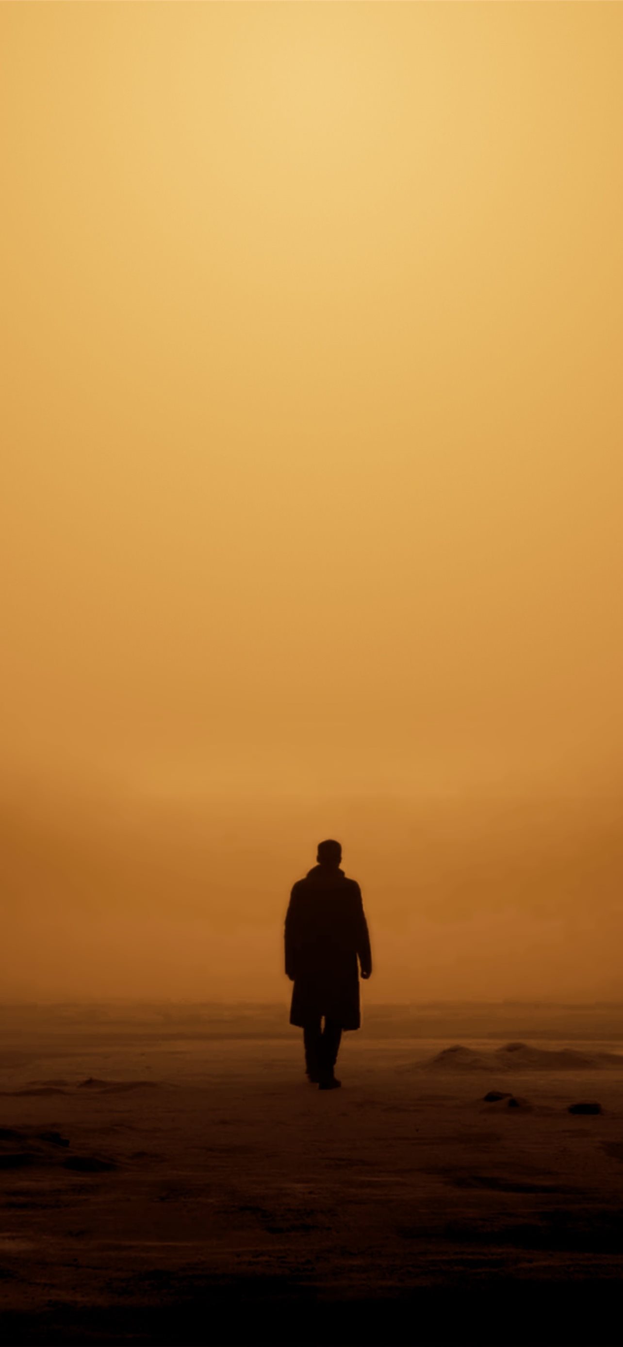 Blade Runner 2049 Still Wallpapers