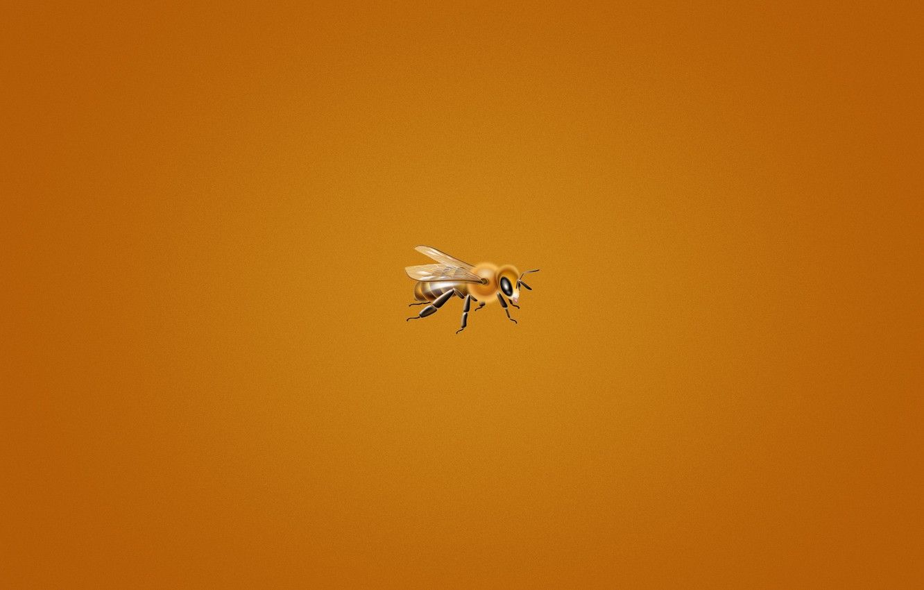 Bumblebee Minimalism Art Wallpapers