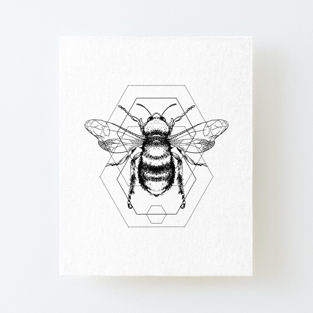 Bumblebee Minimalism Art Wallpapers