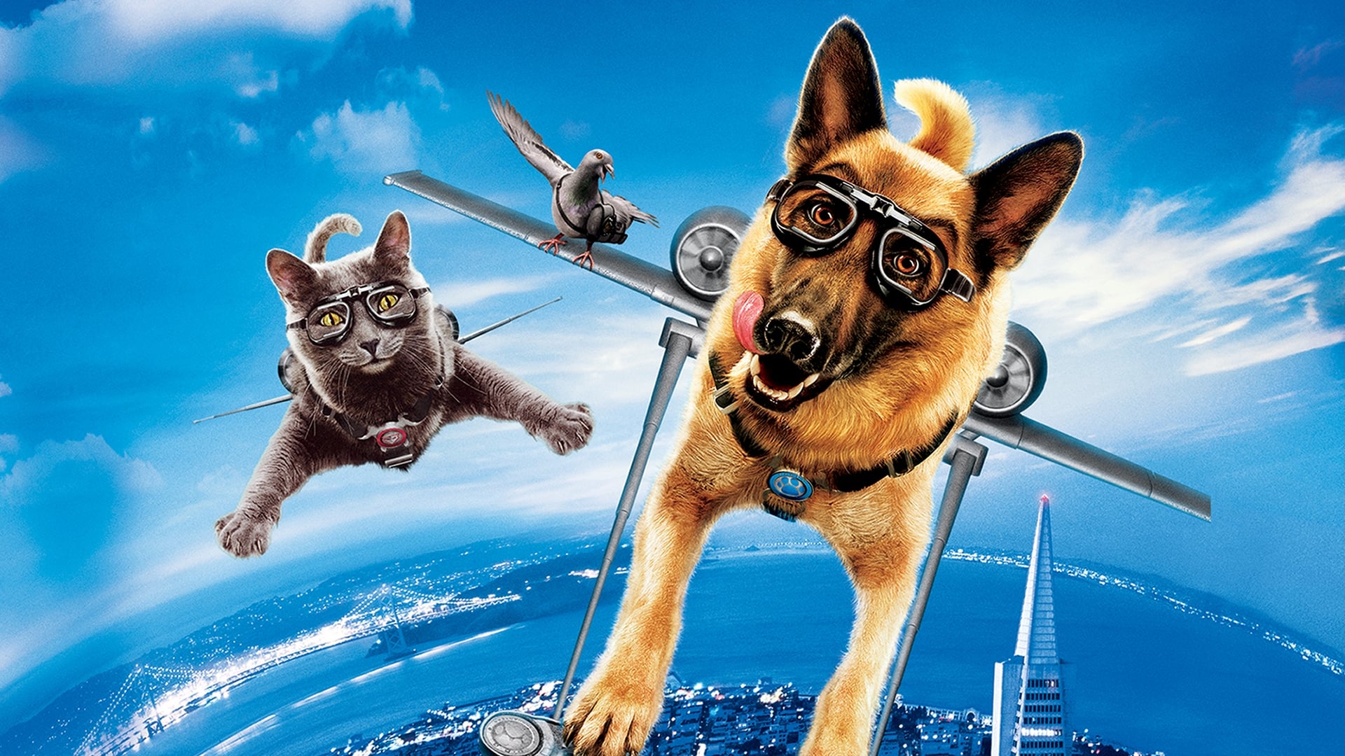 Cats & Dogs: The Revenge Of Kitty Galore Wallpapers