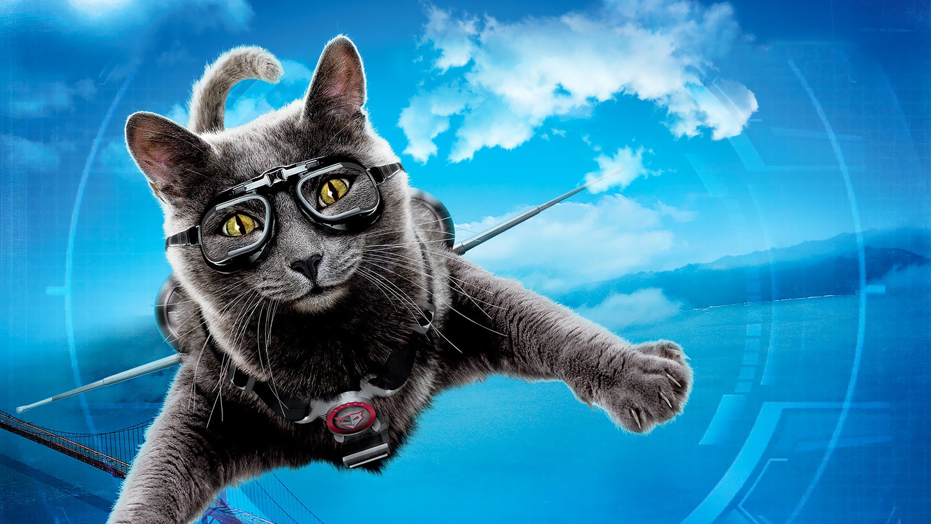 Cats & Dogs: The Revenge Of Kitty Galore Wallpapers