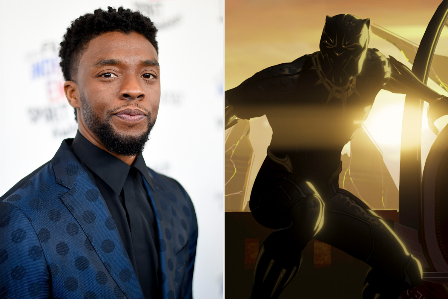 Chadwick Boseman As Black Panther 2018 Movie Wallpapers