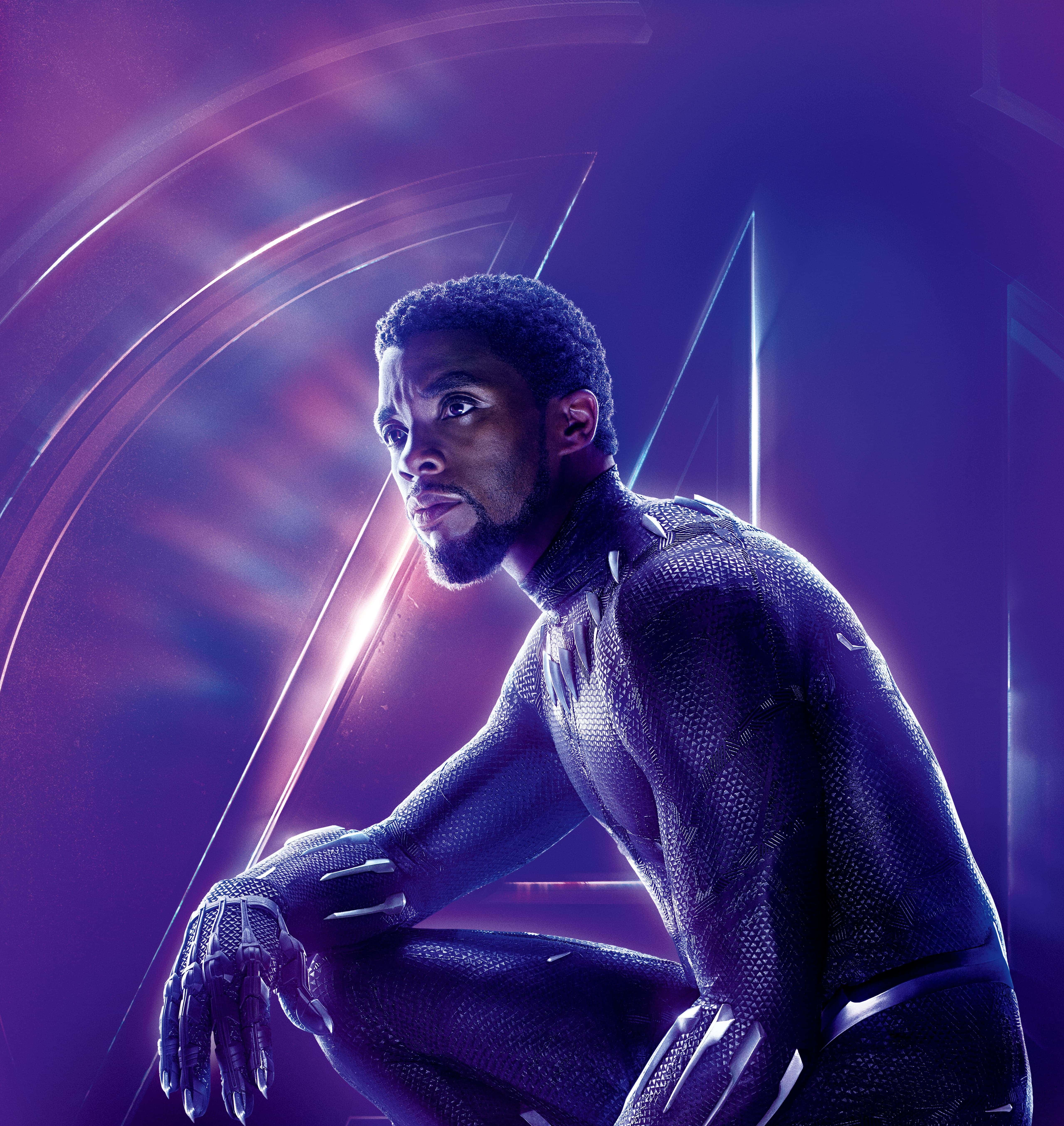 Chadwick Boseman As Black Panther 2018 Movie Wallpapers