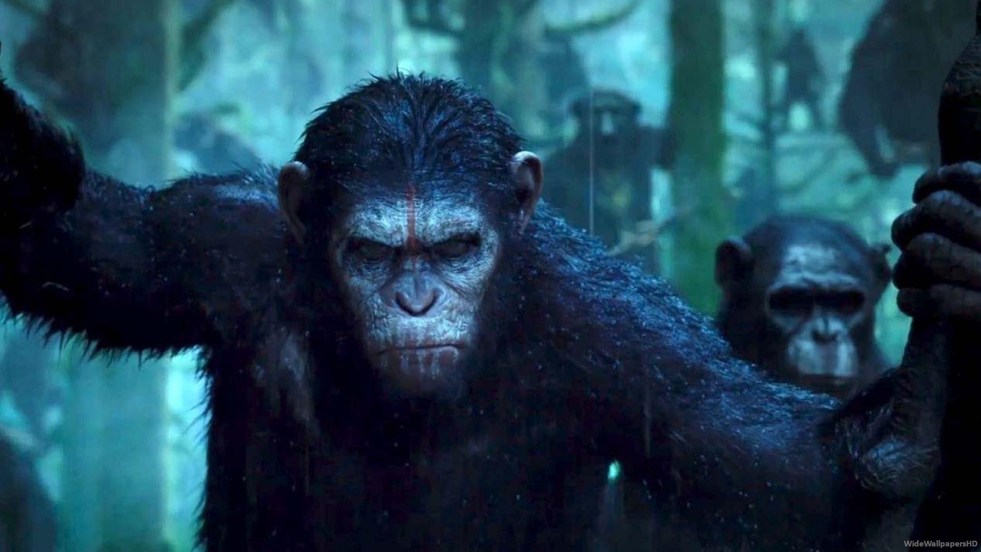 Dawn Of The Planet Of The Apes Wallpapers