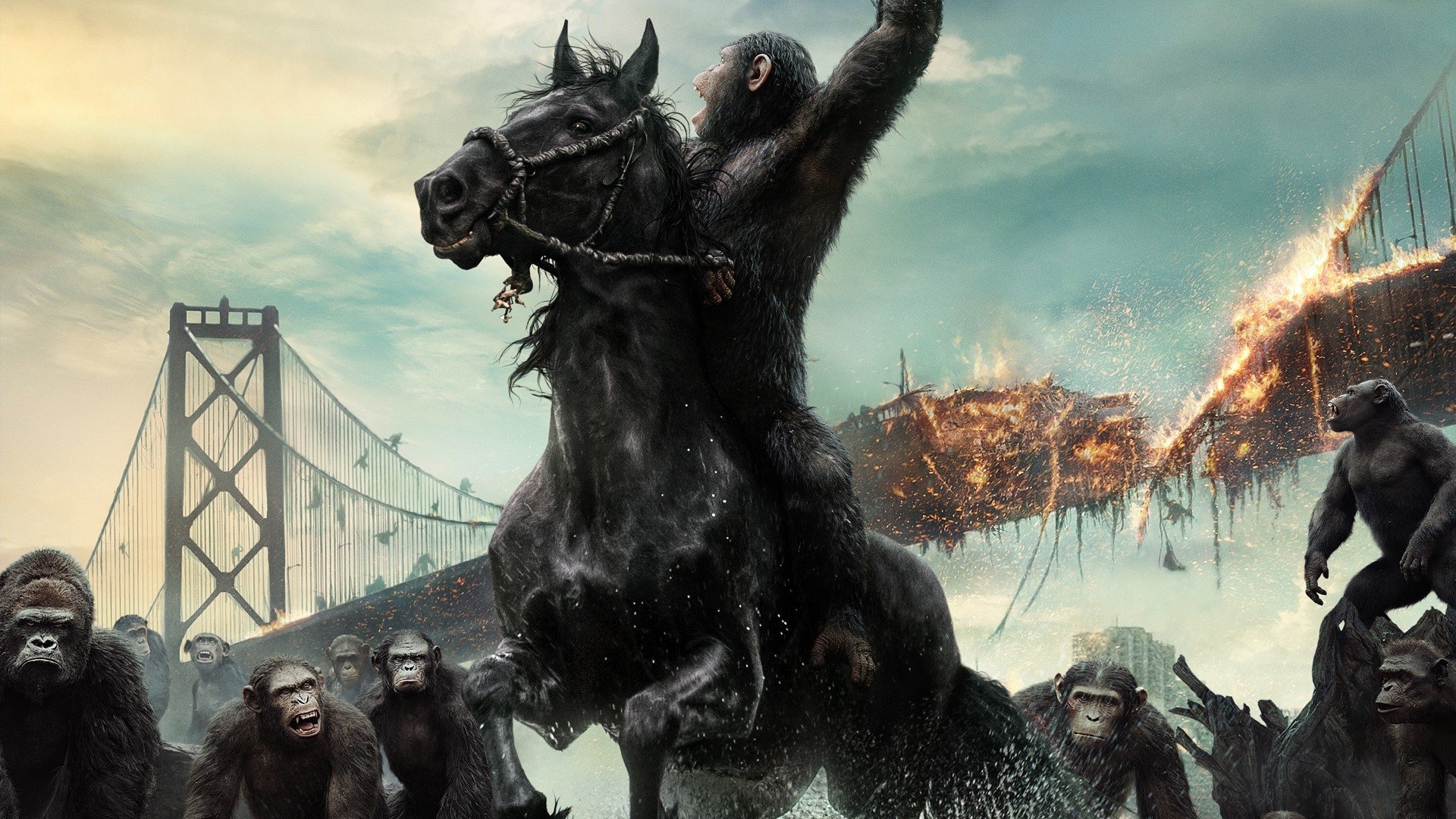 Dawn Of The Planet Of The Apes Wallpapers