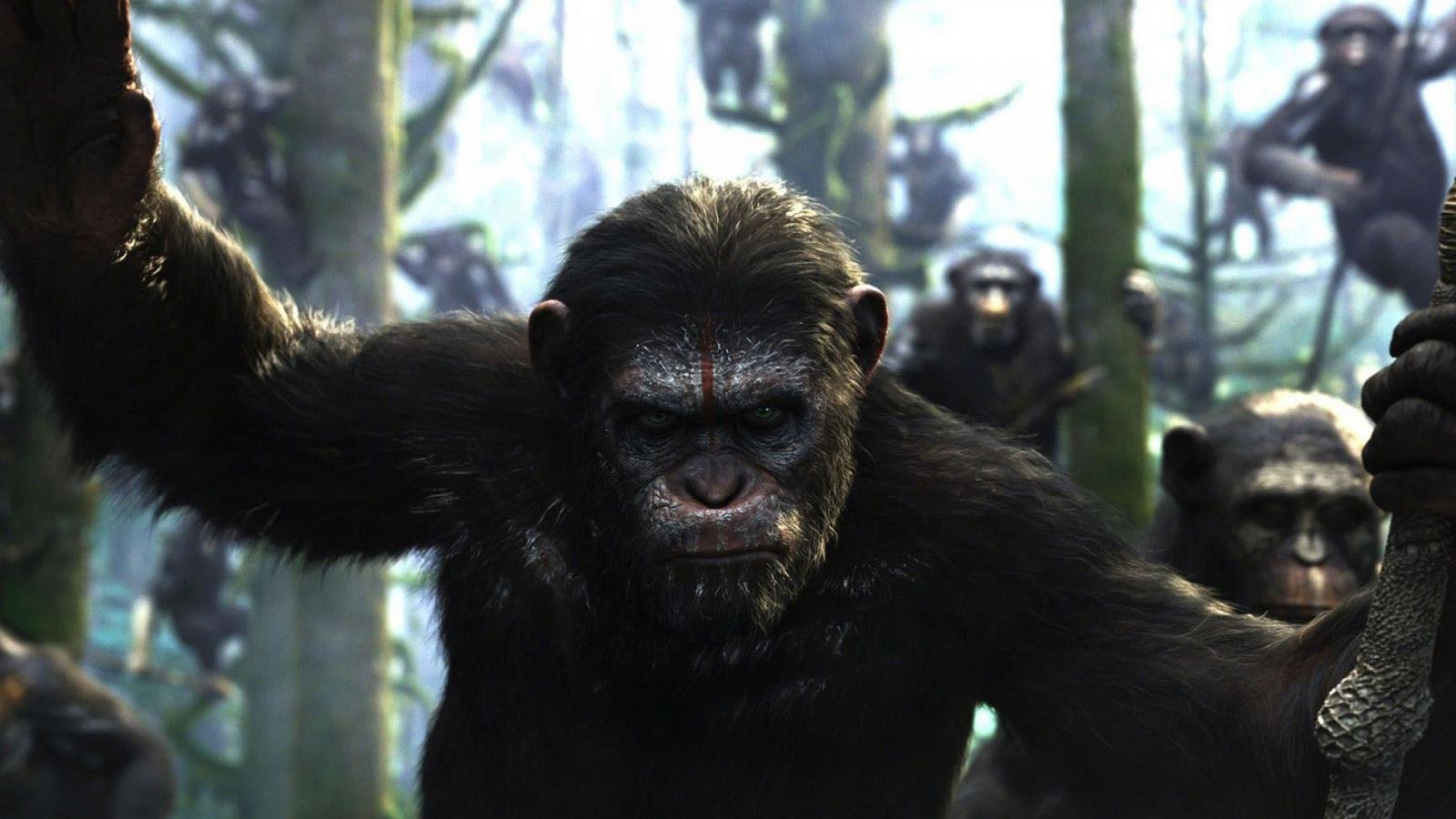 Dawn Of The Planet Of The Apes Wallpapers