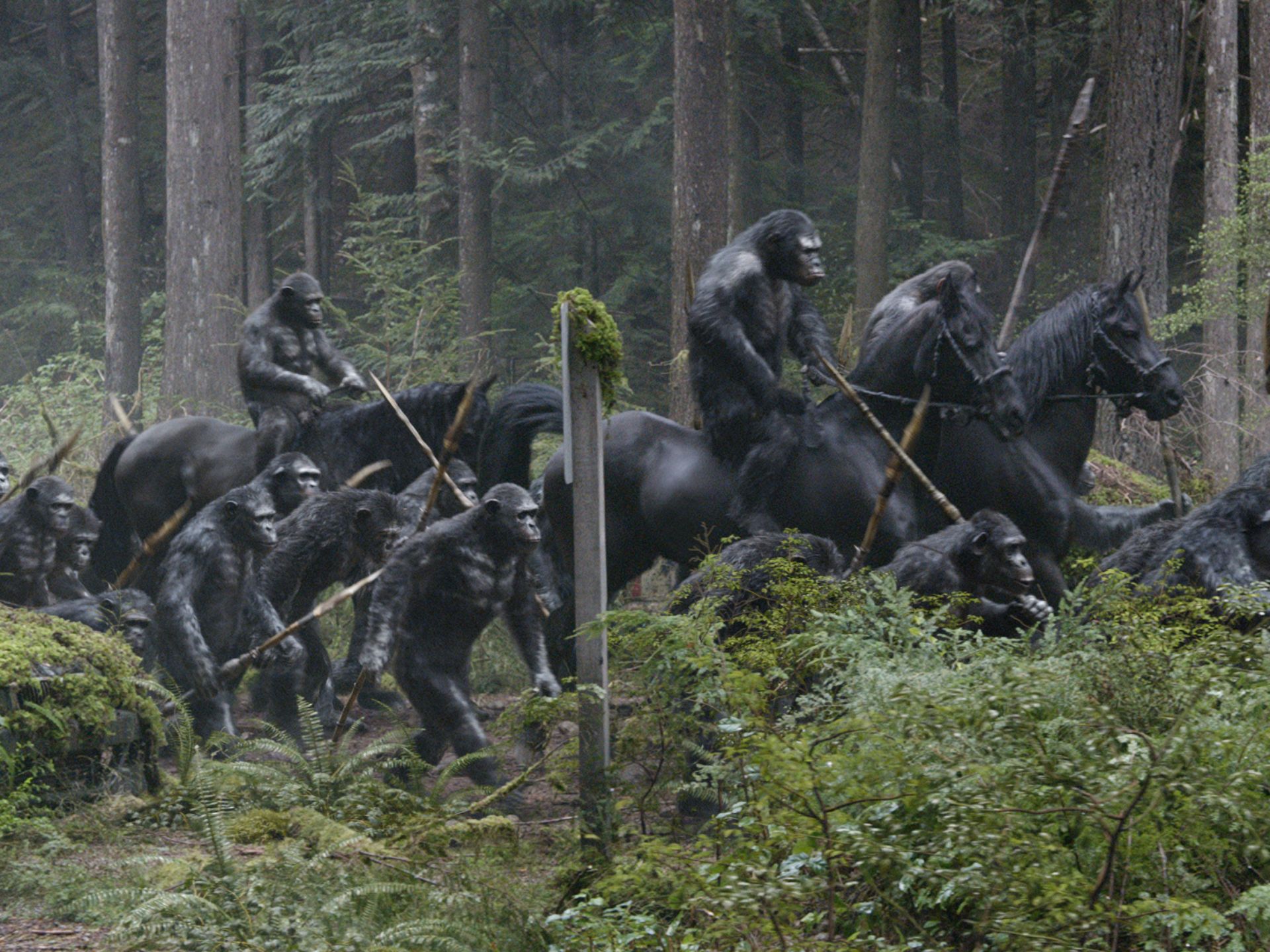 Dawn Of The Planet Of The Apes Wallpapers