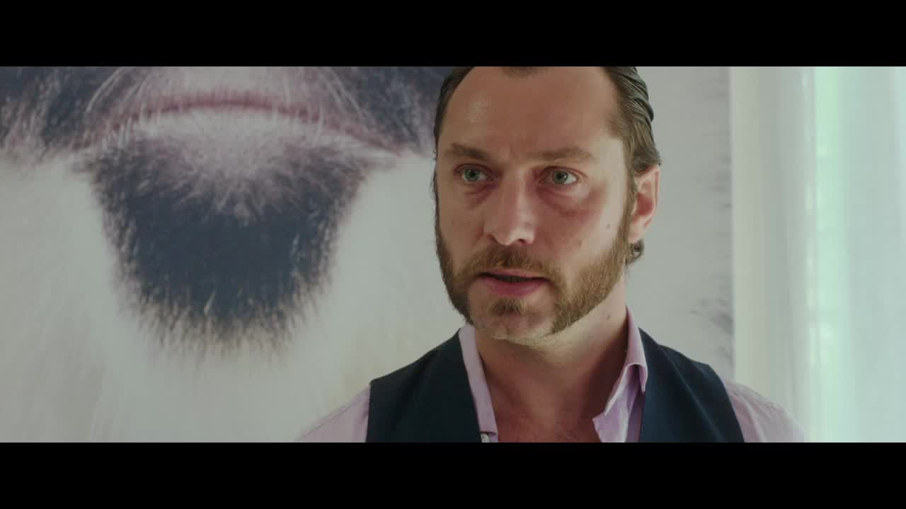 Dom Hemingway Wallpapers