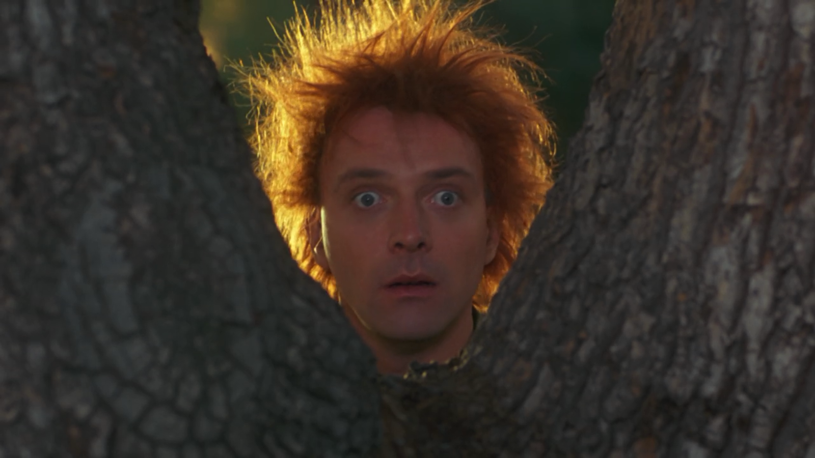 Drop Dead Fred Wallpapers