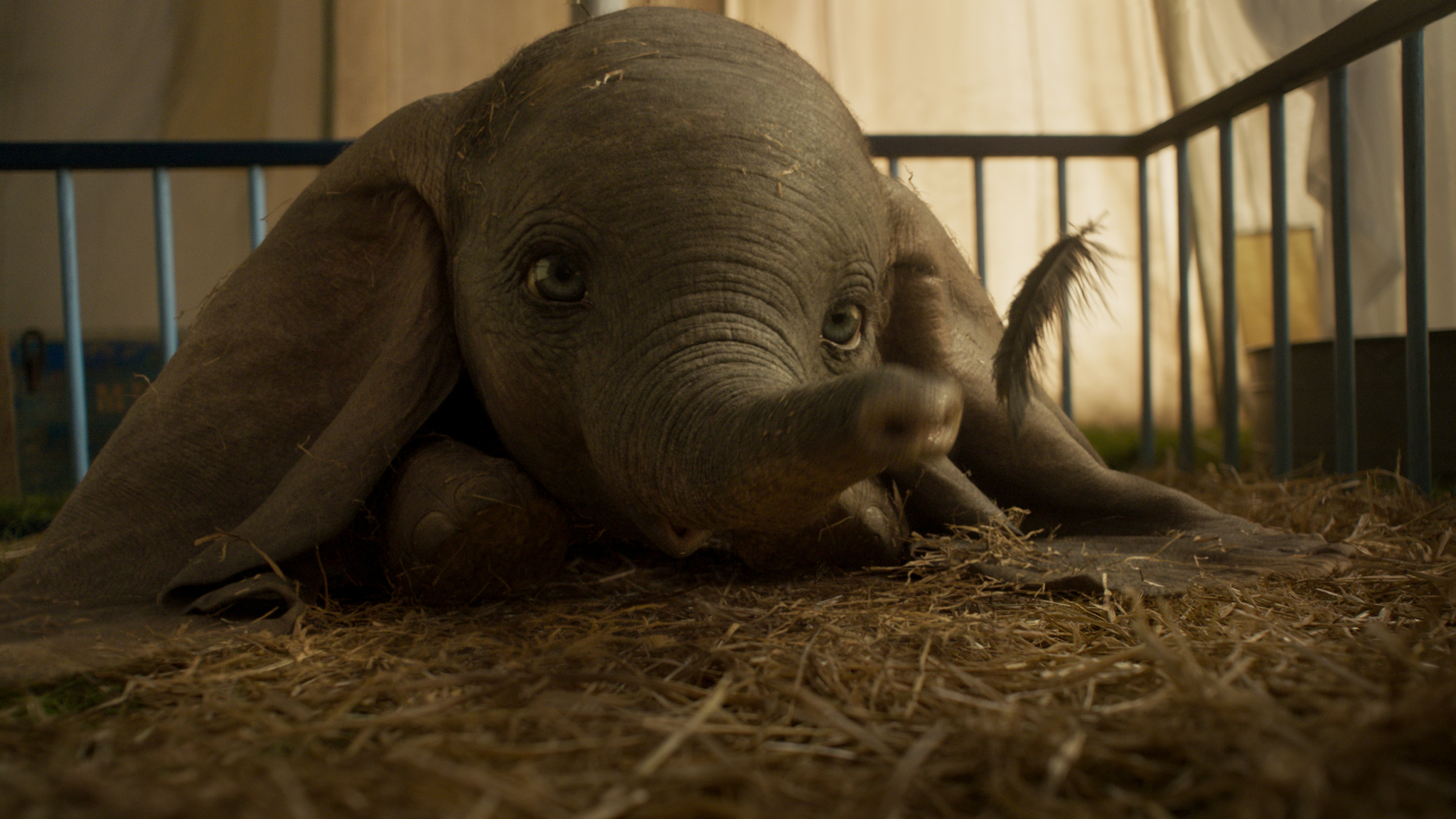 Dumbo 2019 Movie Wallpapers