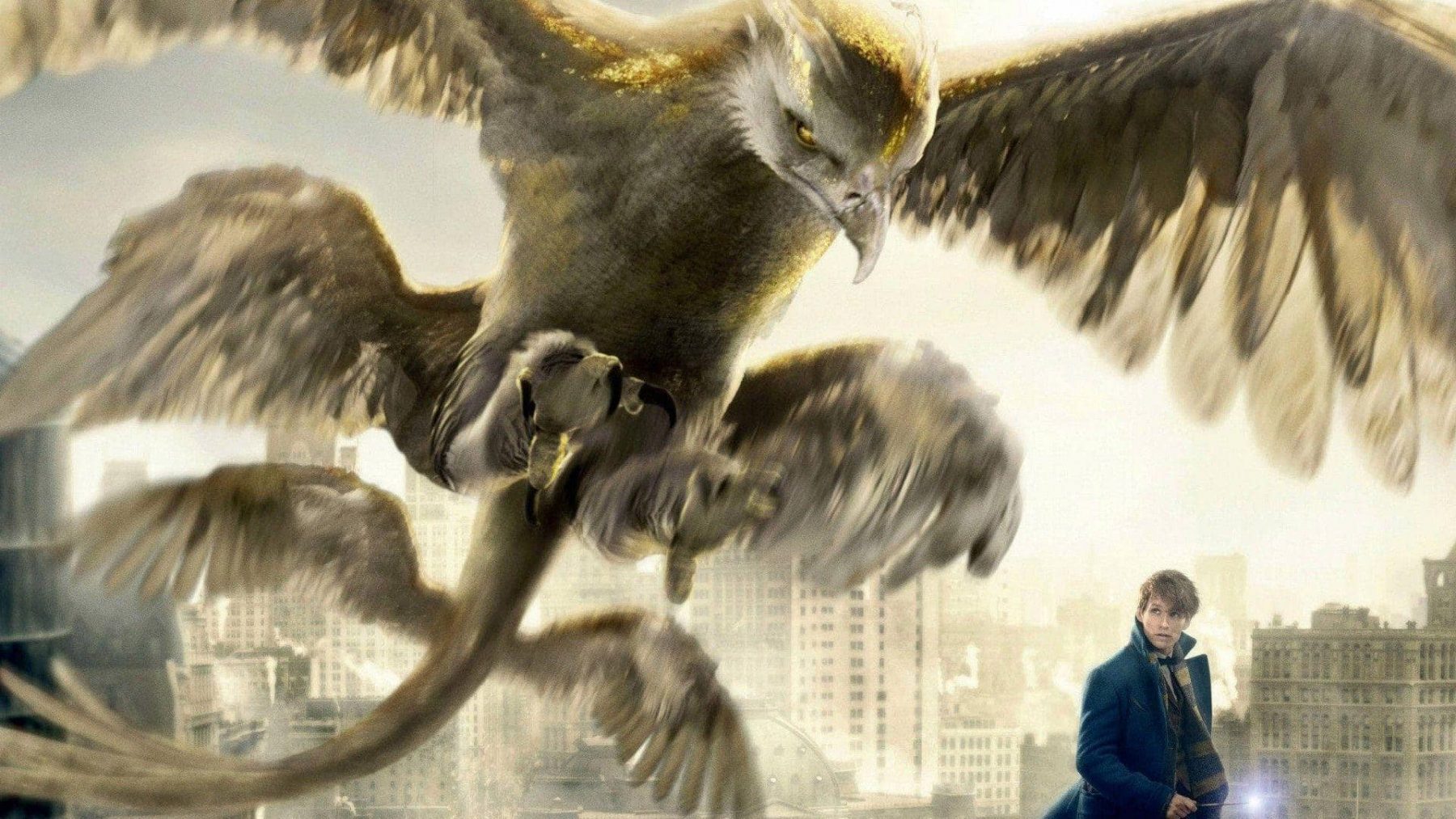 Fantastic Beasts And Where To Find Them Wallpapers