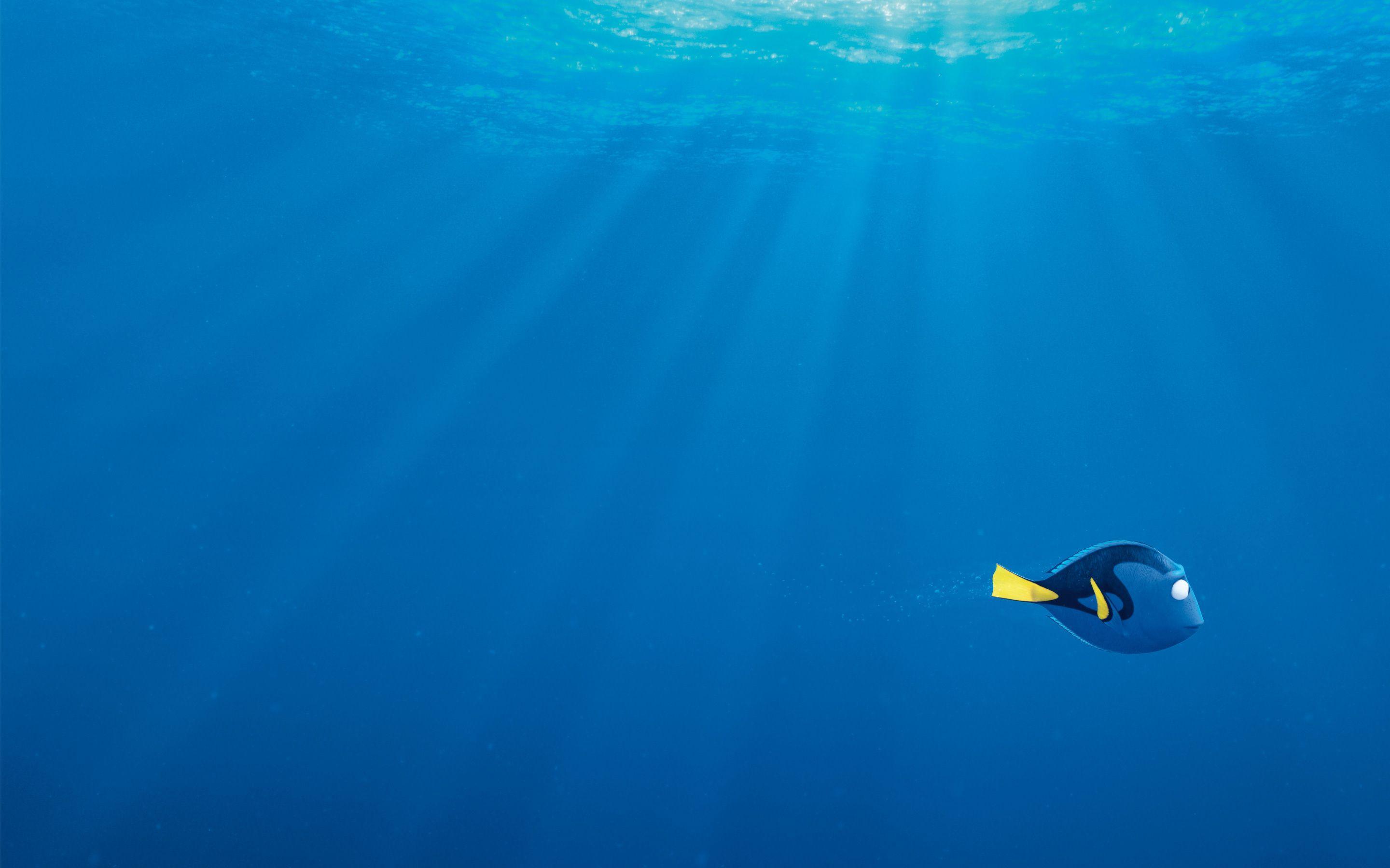 Finding Dory Wallpapers