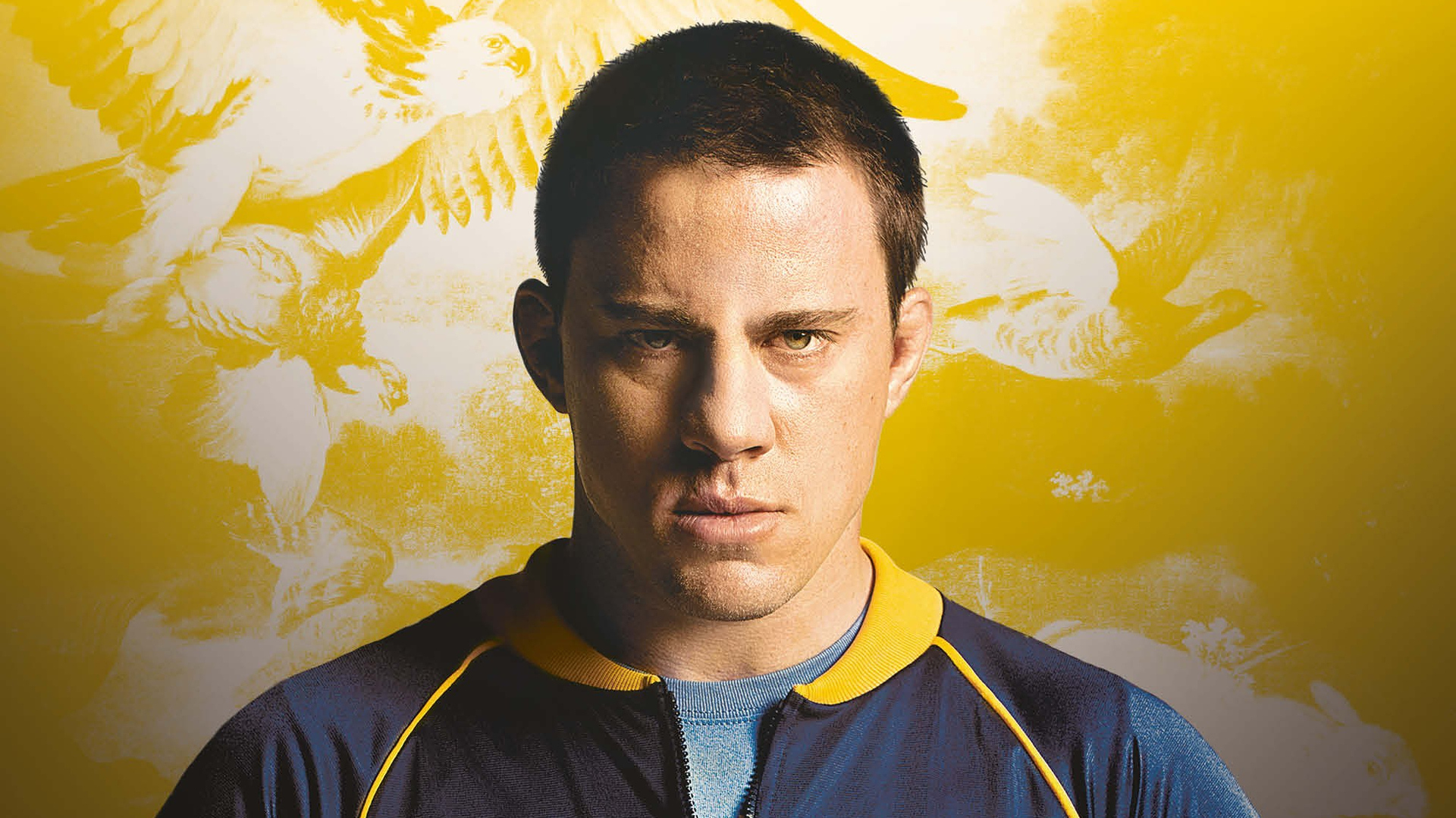 Foxcatcher Wallpapers