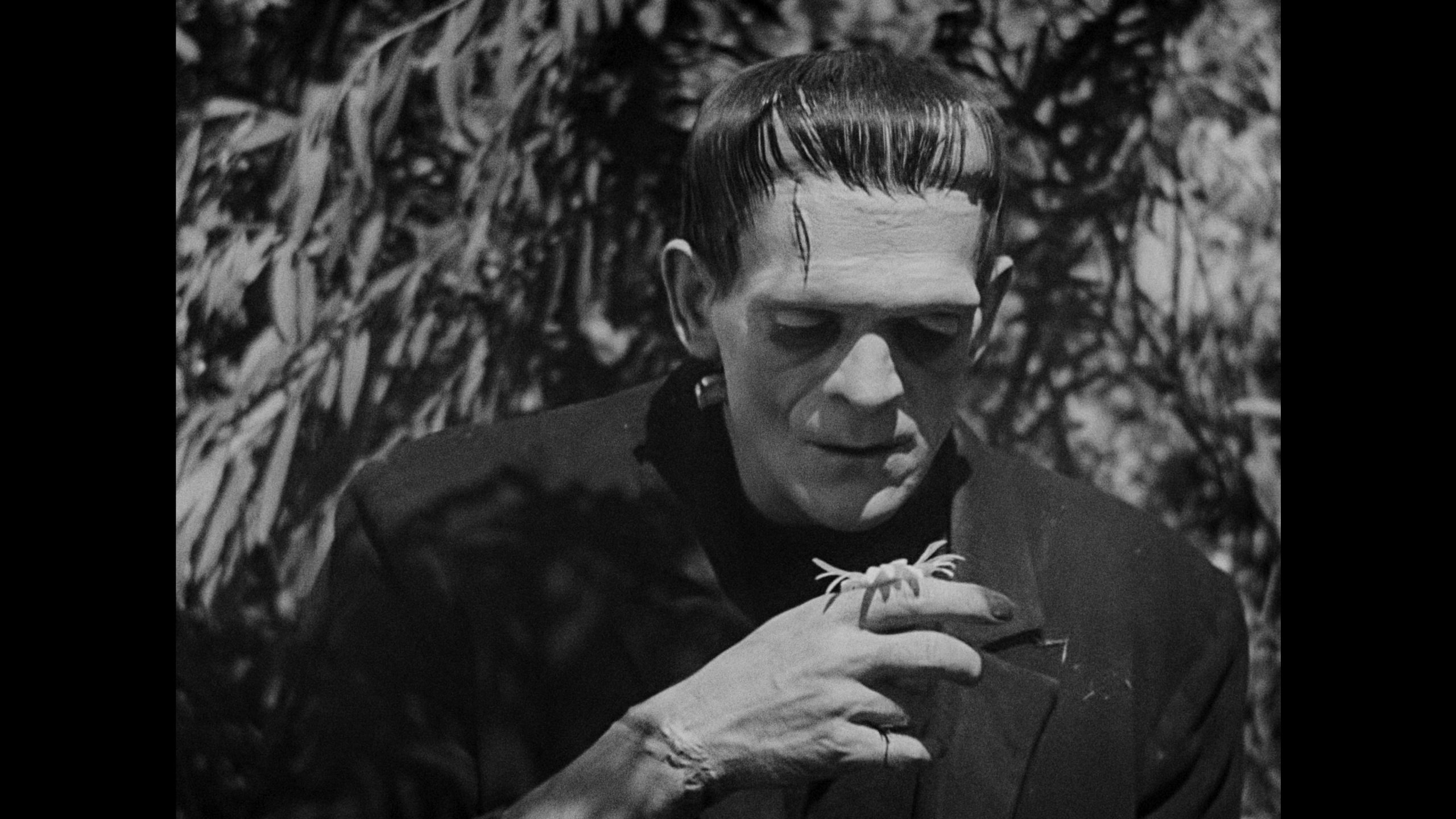 Frankenstein (1931) Wallpapers