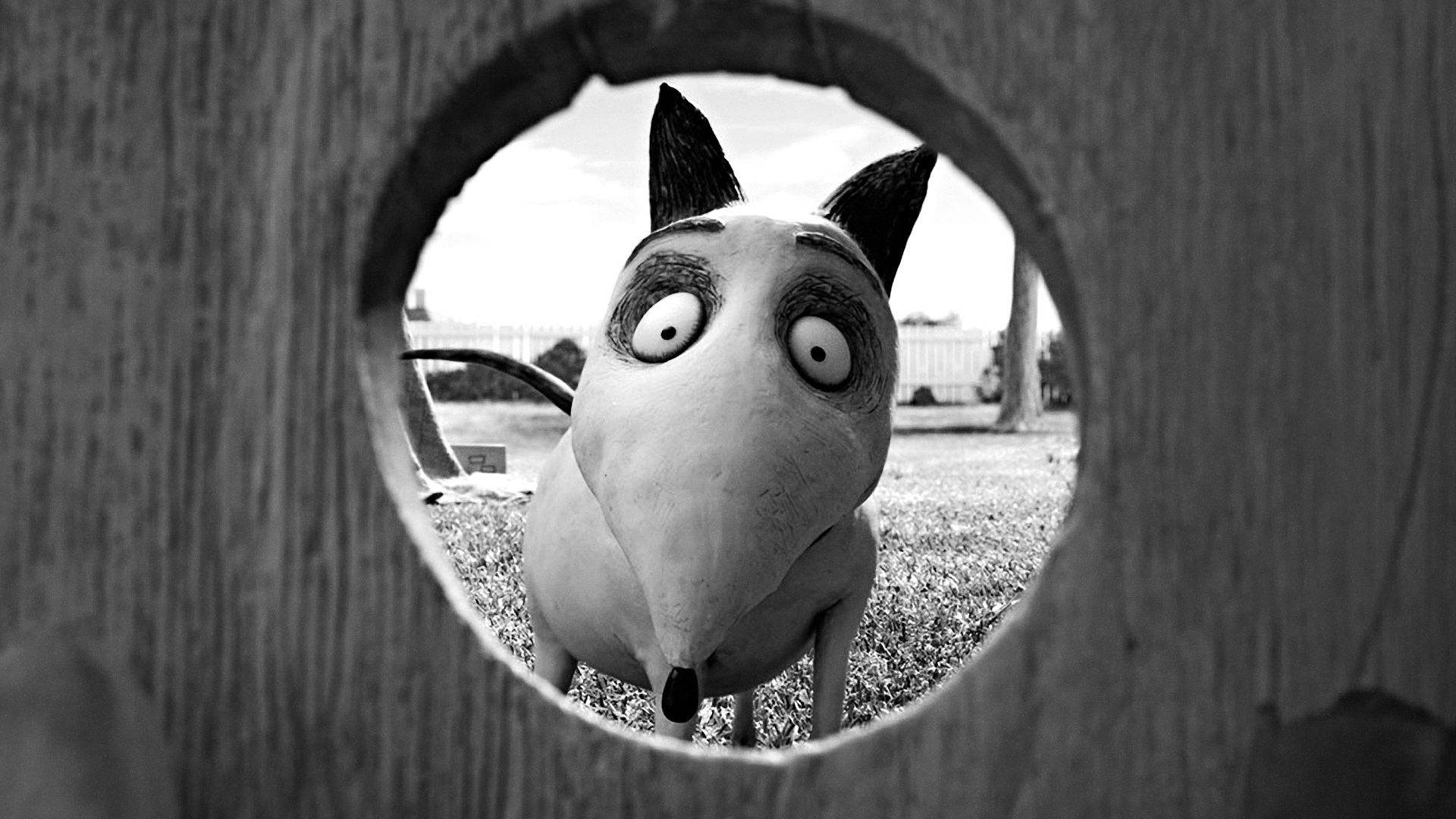 Frankenweenie Wallpapers