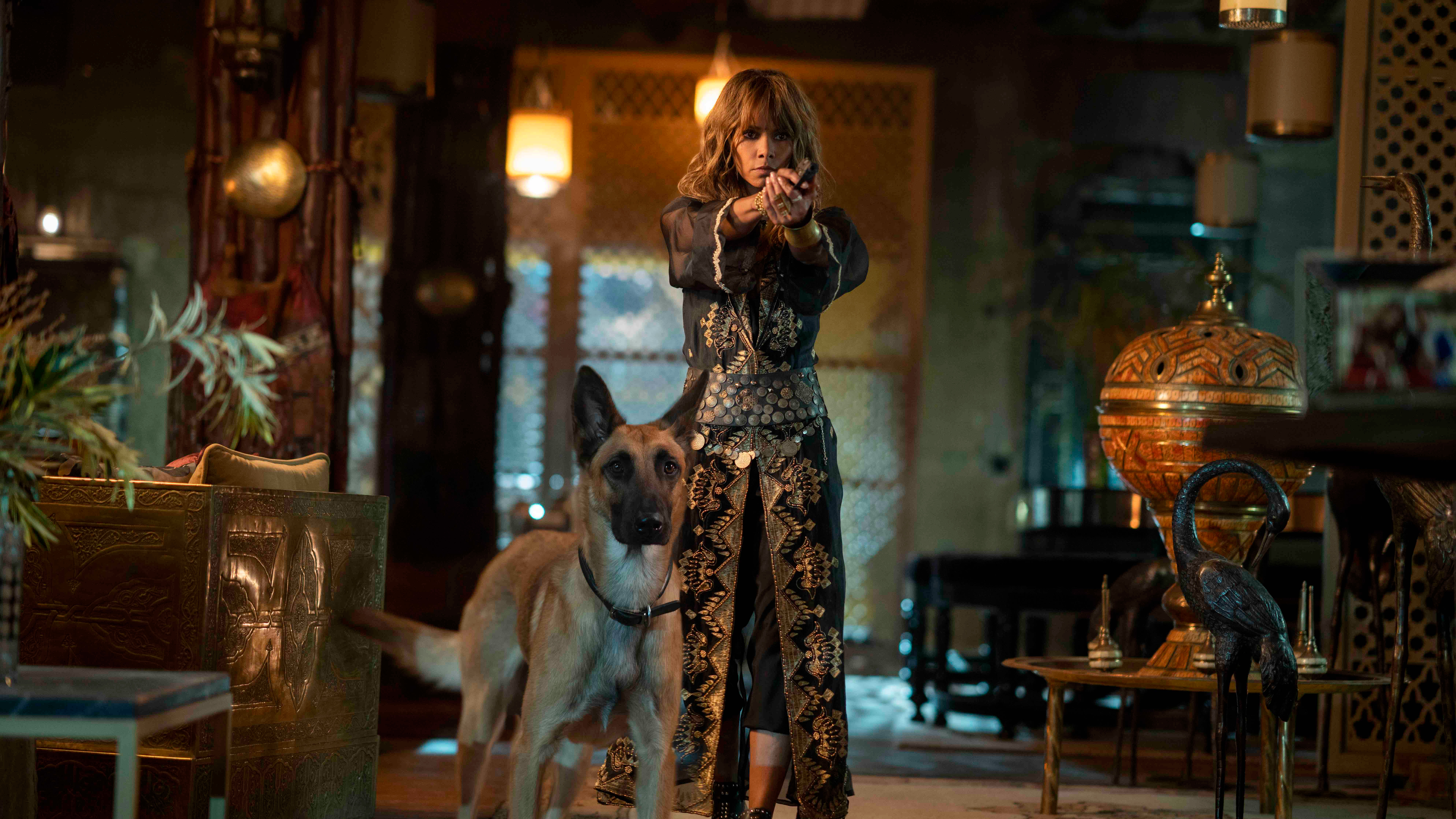 Halle Berry In John Wick 3 Wallpapers