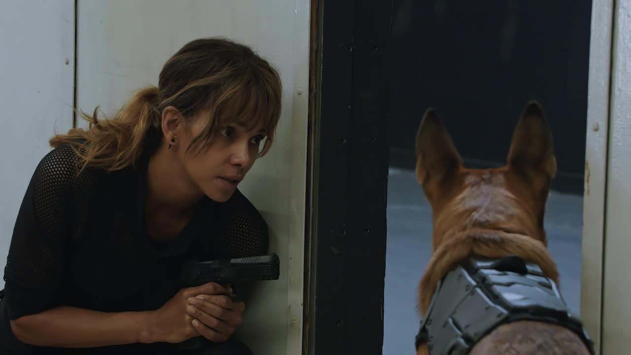 Halle Berry In John Wick 3 Wallpapers