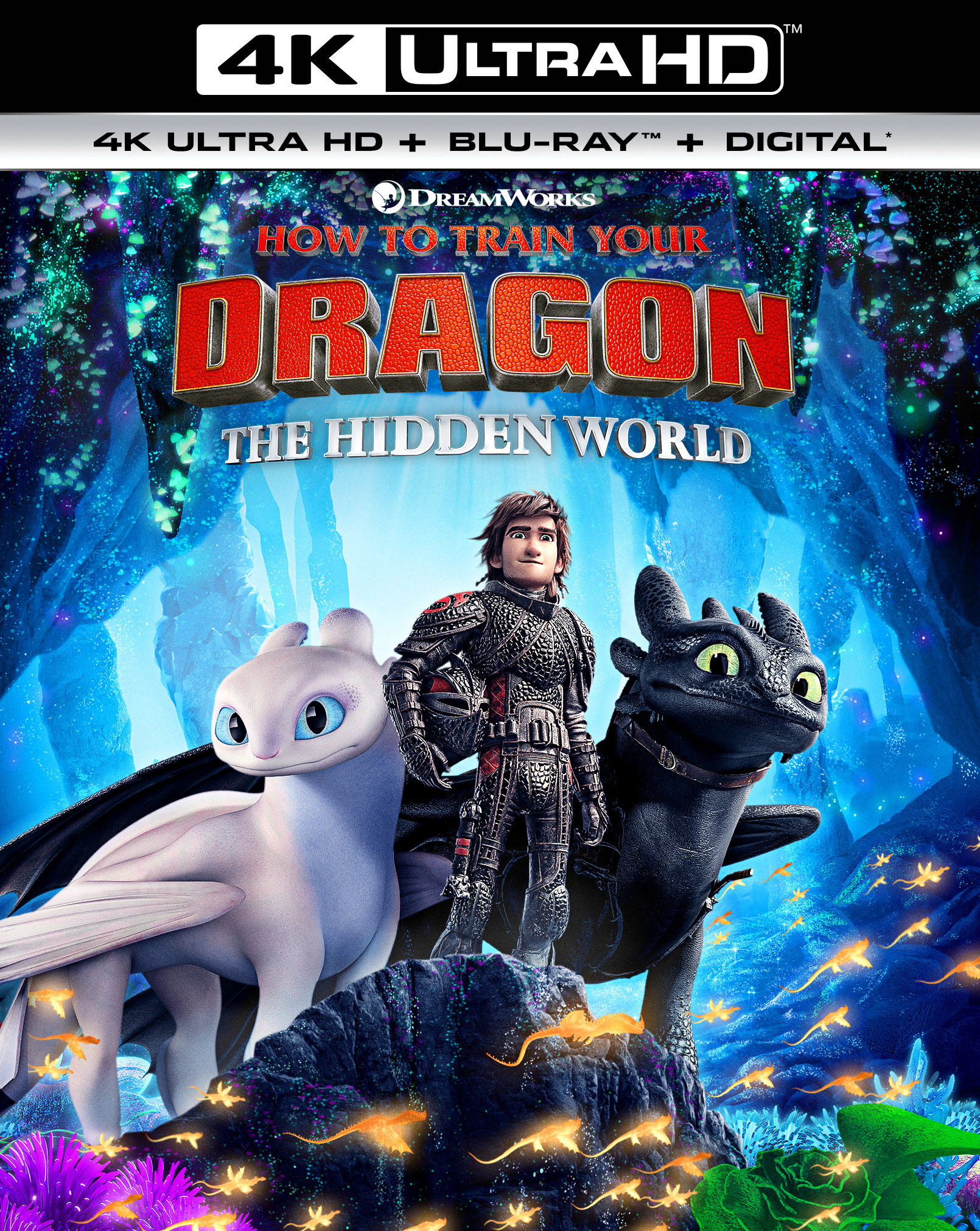 How To Train Your Dragon The Hidden World 2019 Movie Poster Wallpapers