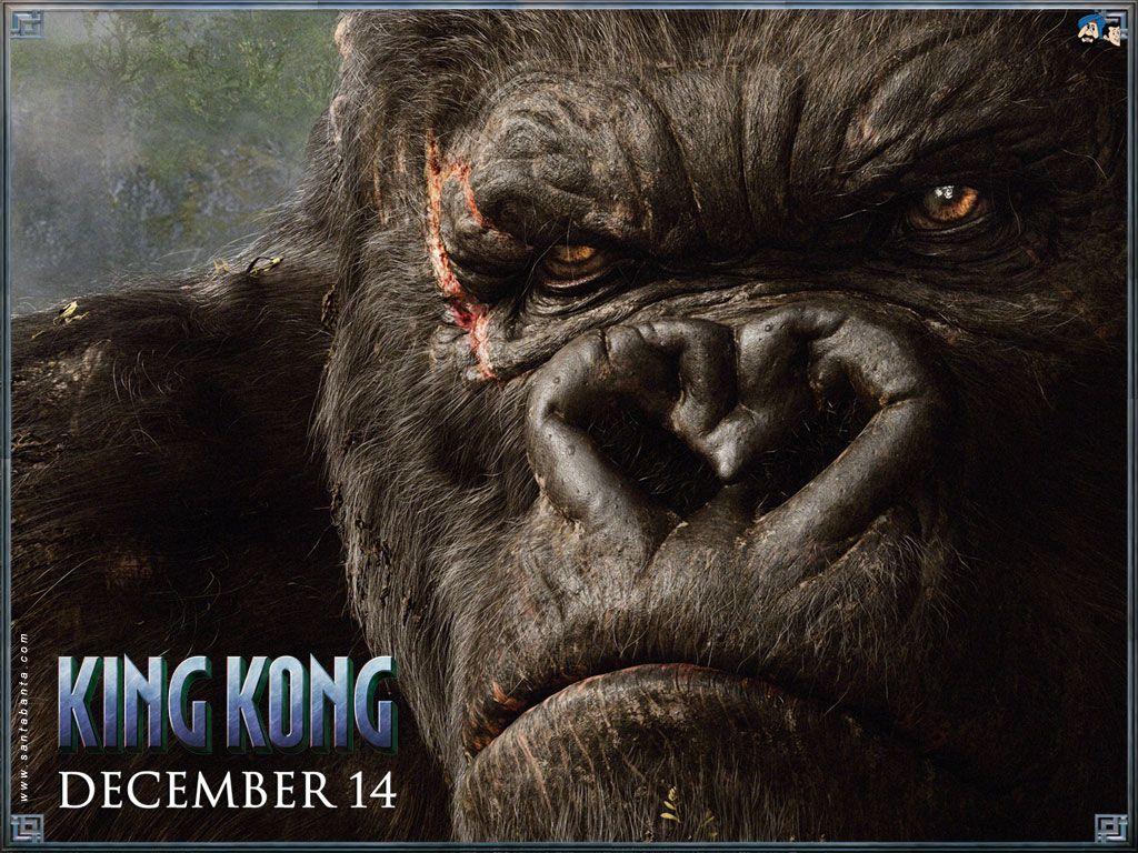 Innocent King Kong Wallpapers