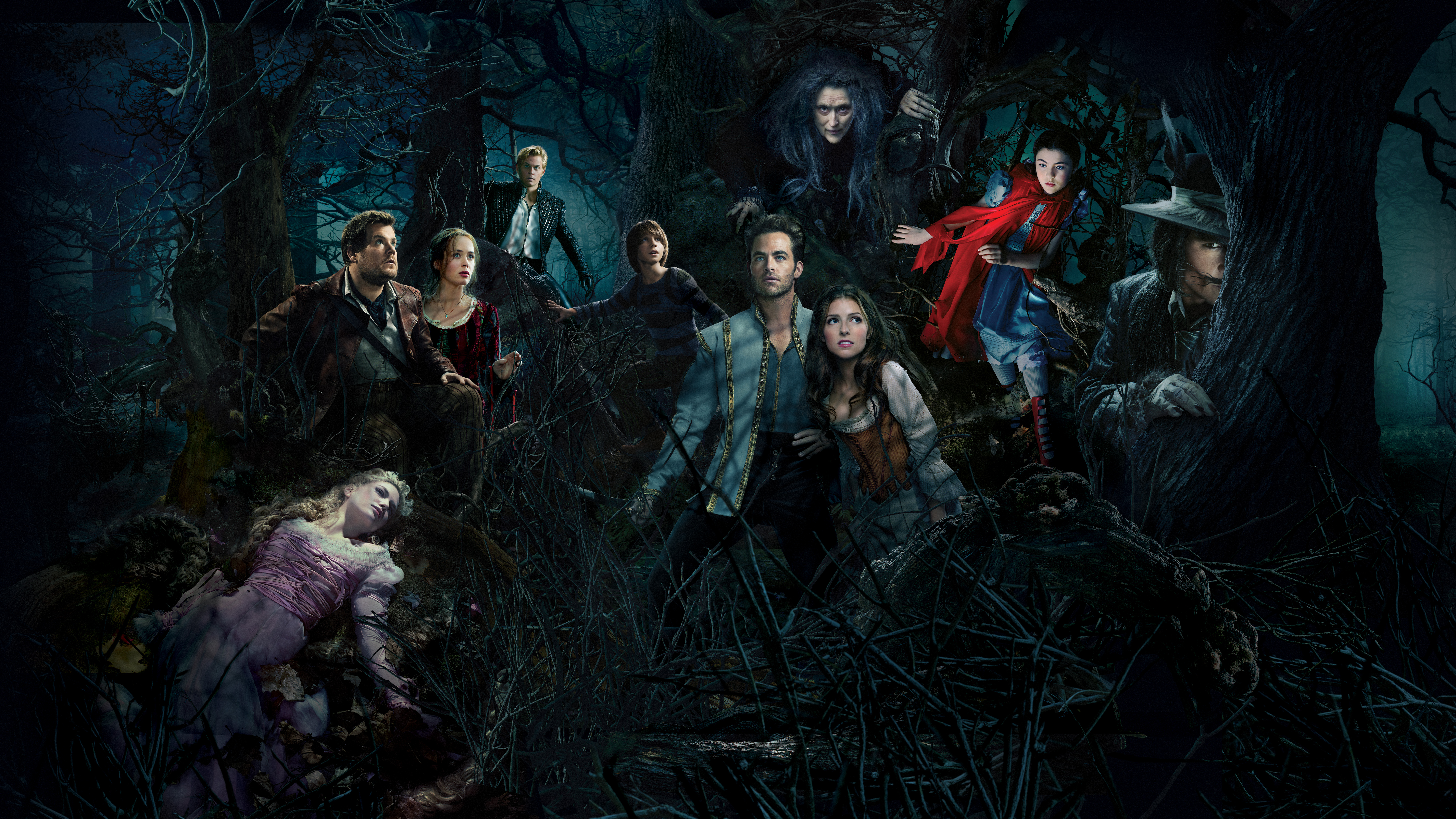 Into The Woods (2014) Wallpapers