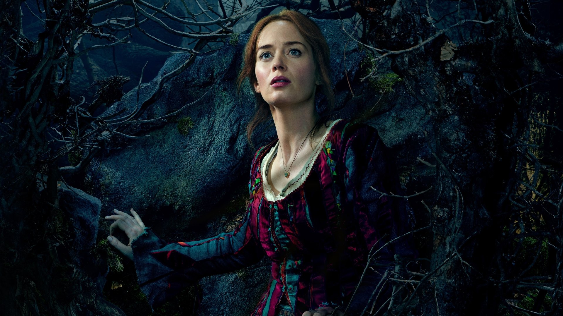 Into The Woods (2014) Wallpapers