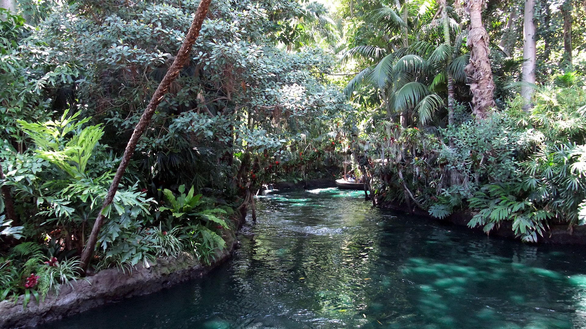 Jungle Cruise Wallpapers