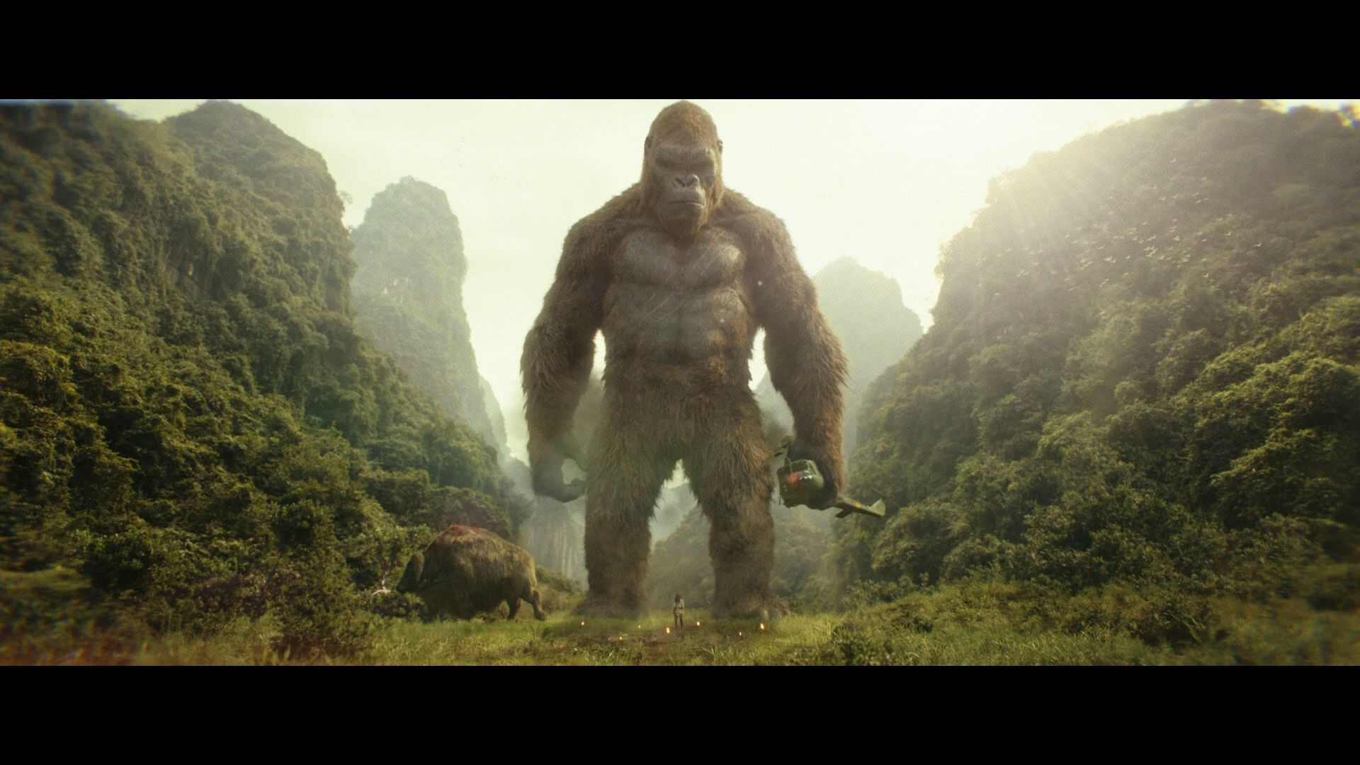 Kong Skull Island King 8K Wallpapers