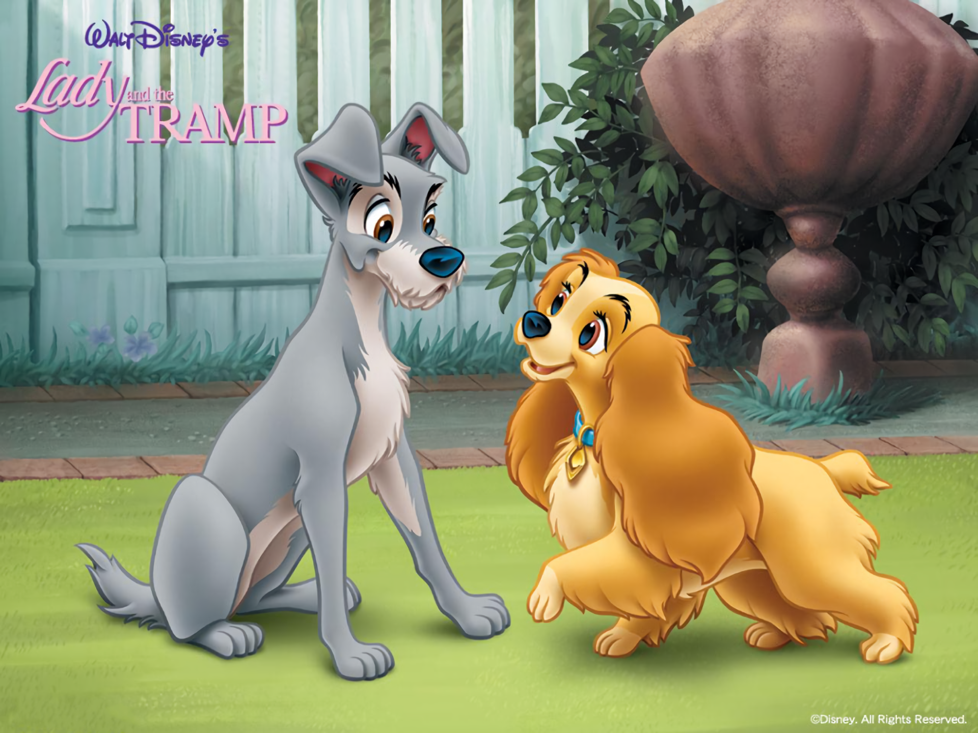 Lady And The Tramp (1955) Wallpapers