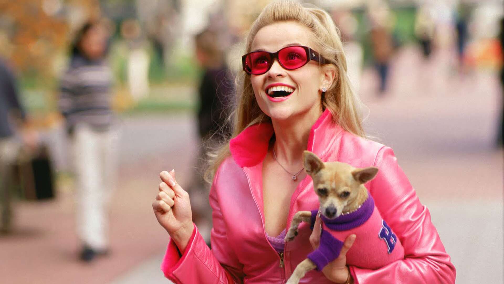 Legally Blonde Wallpapers