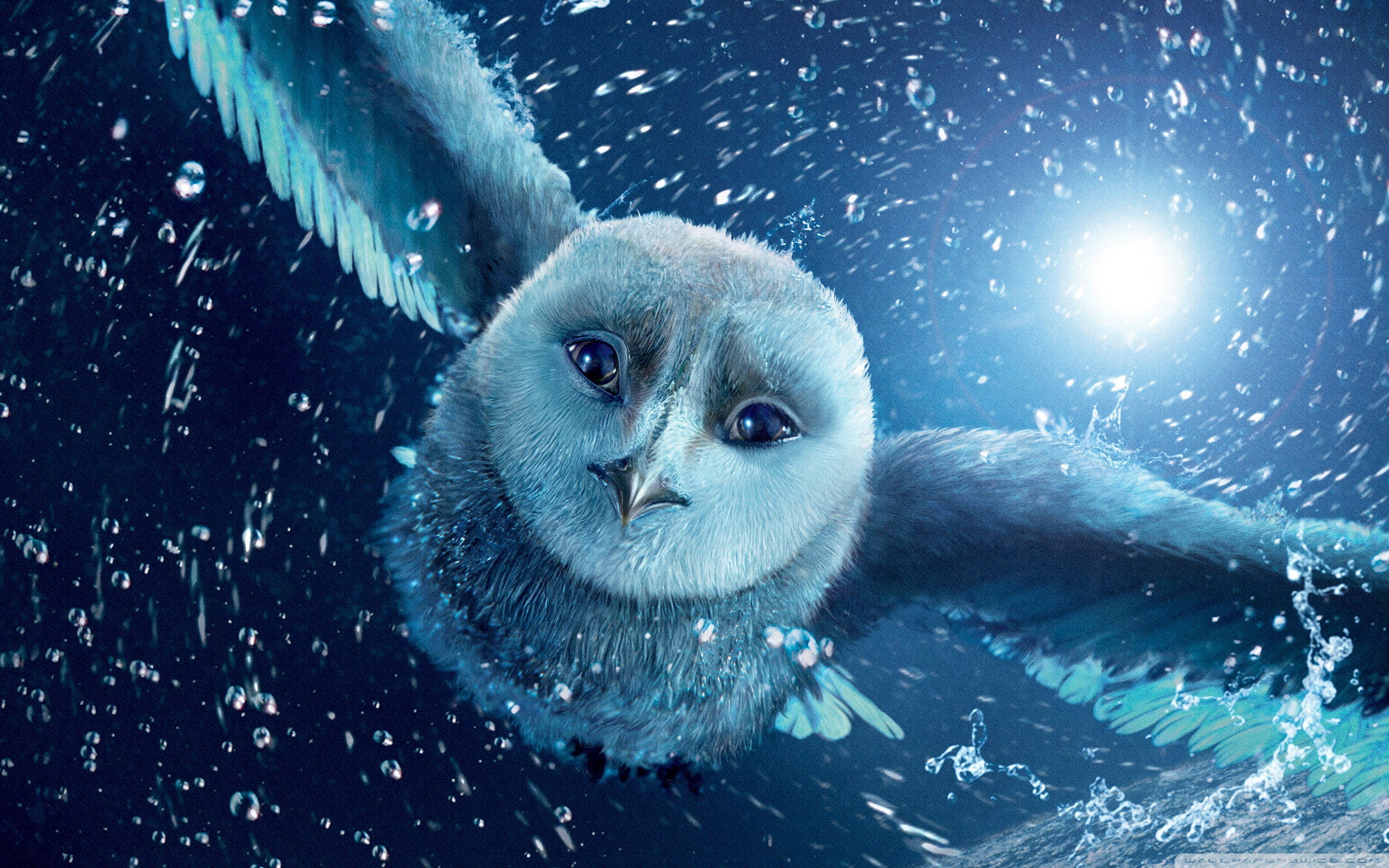 Legend Of The Guardians: The Owls Of Ga'Hoole Wallpapers