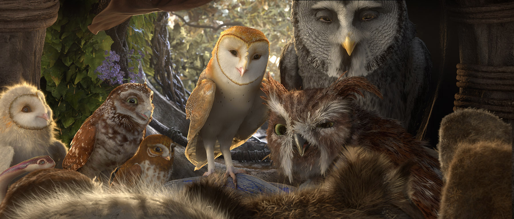 Legend Of The Guardians: The Owls Of Ga'Hoole Wallpapers