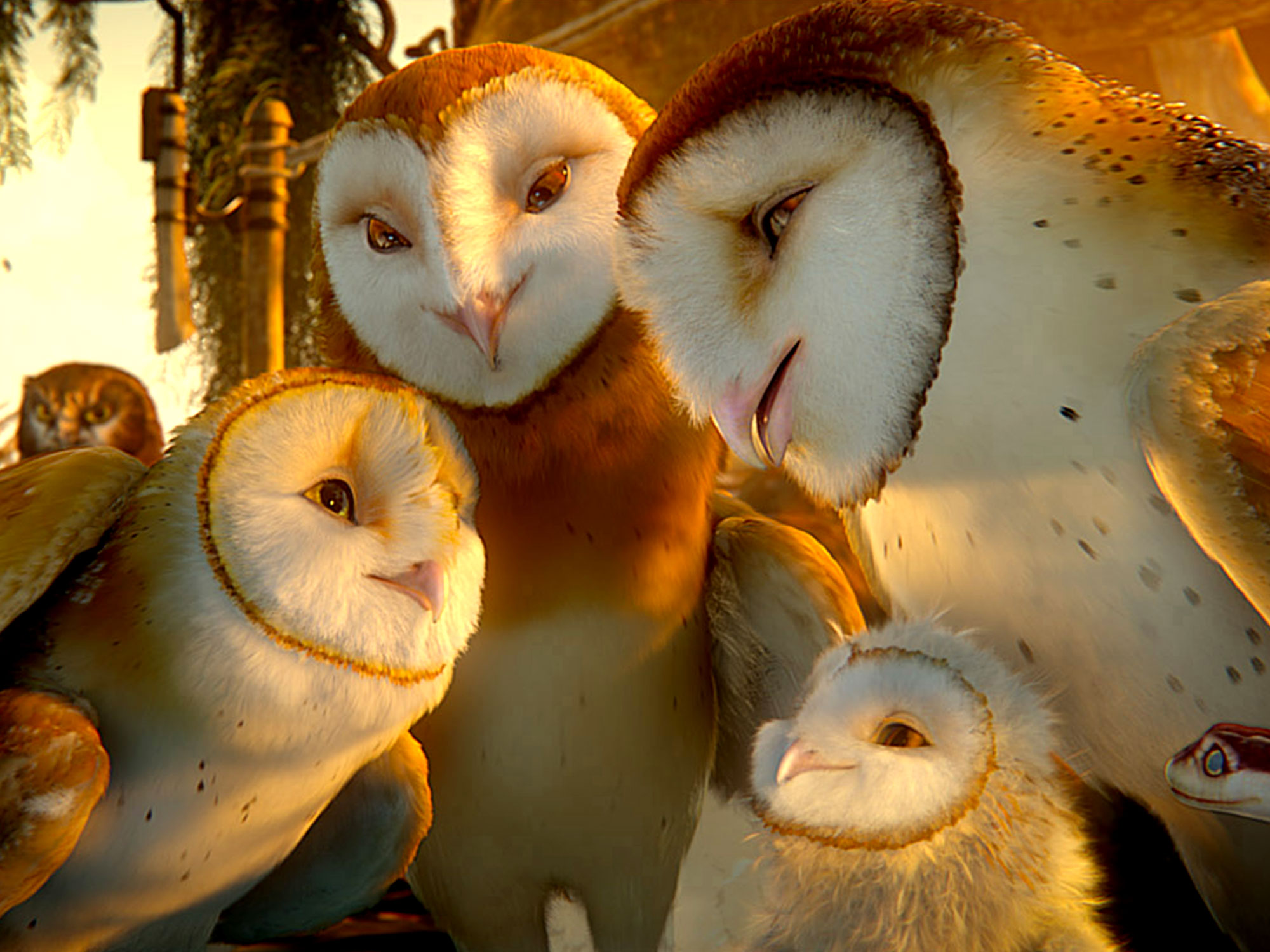 Legend Of The Guardians: The Owls Of Ga'Hoole Wallpapers