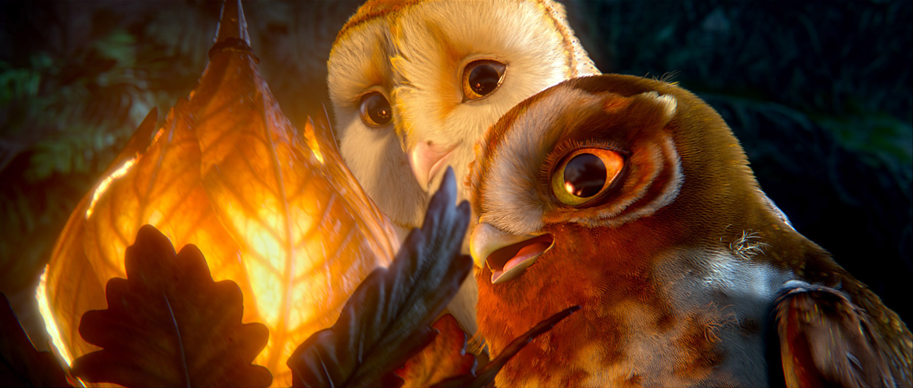 Legend Of The Guardians: The Owls Of Ga'Hoole Wallpapers