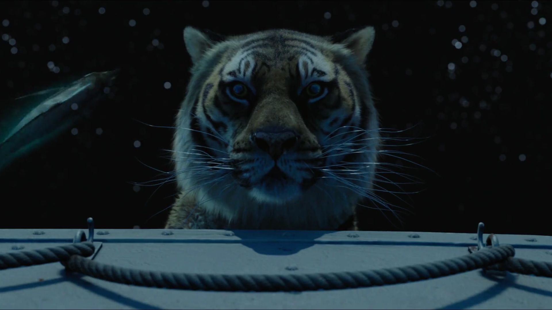 Life Of Pi Wallpapers