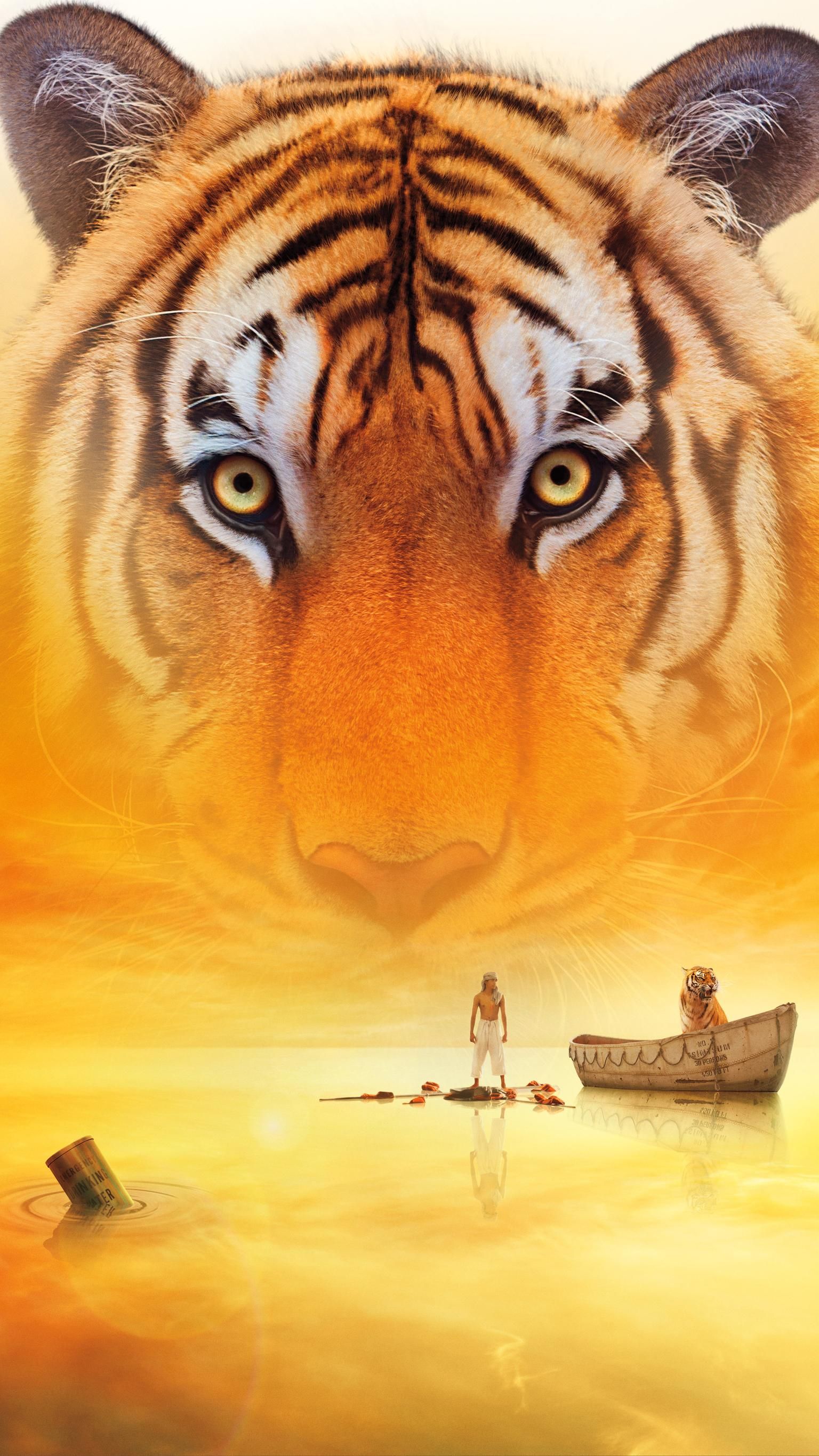 Life Of Pi Wallpapers