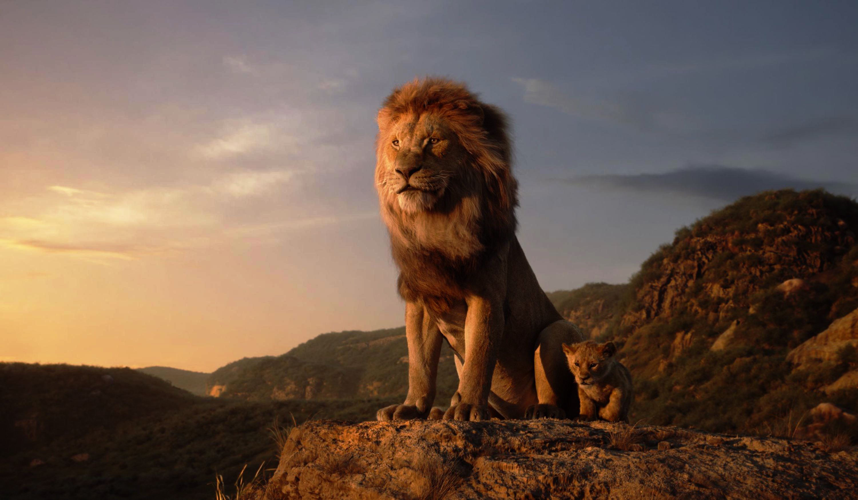 Lion From The Lion King Wallpapers