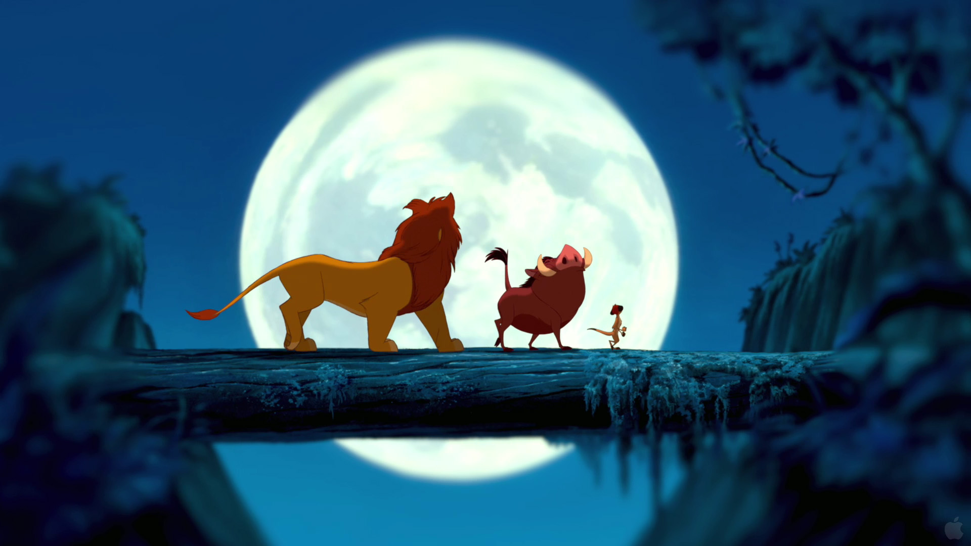 Lion From The Lion King Wallpapers