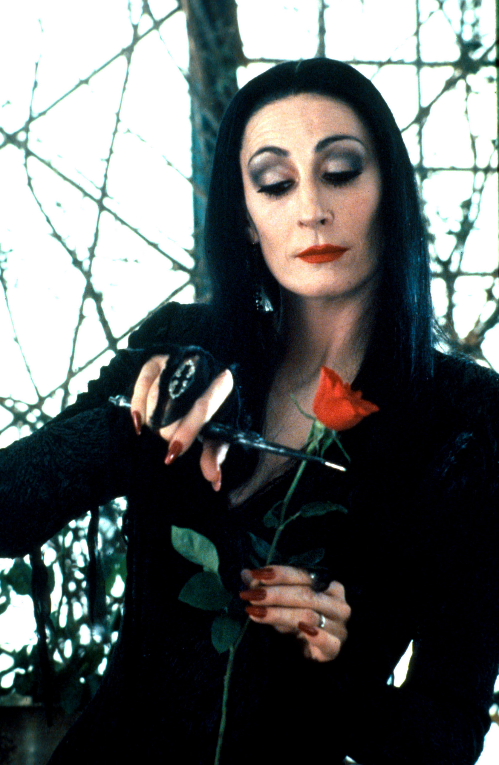 Morticia Addams The Addams Family Wallpapers