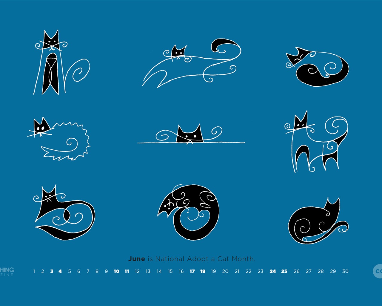 Nine Lives Wallpapers