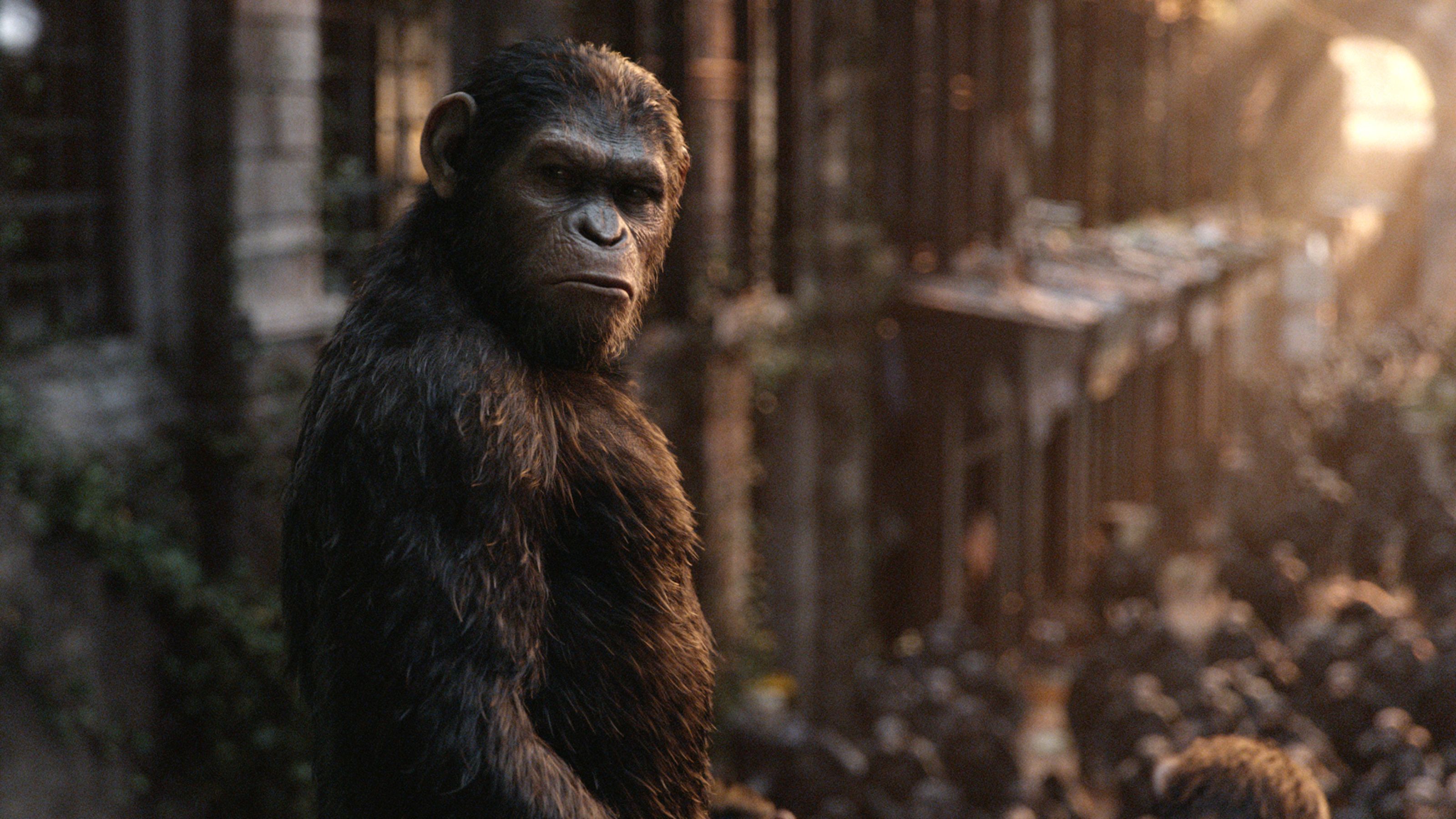 Nova War For The Planet Of The Apes Wallpapers