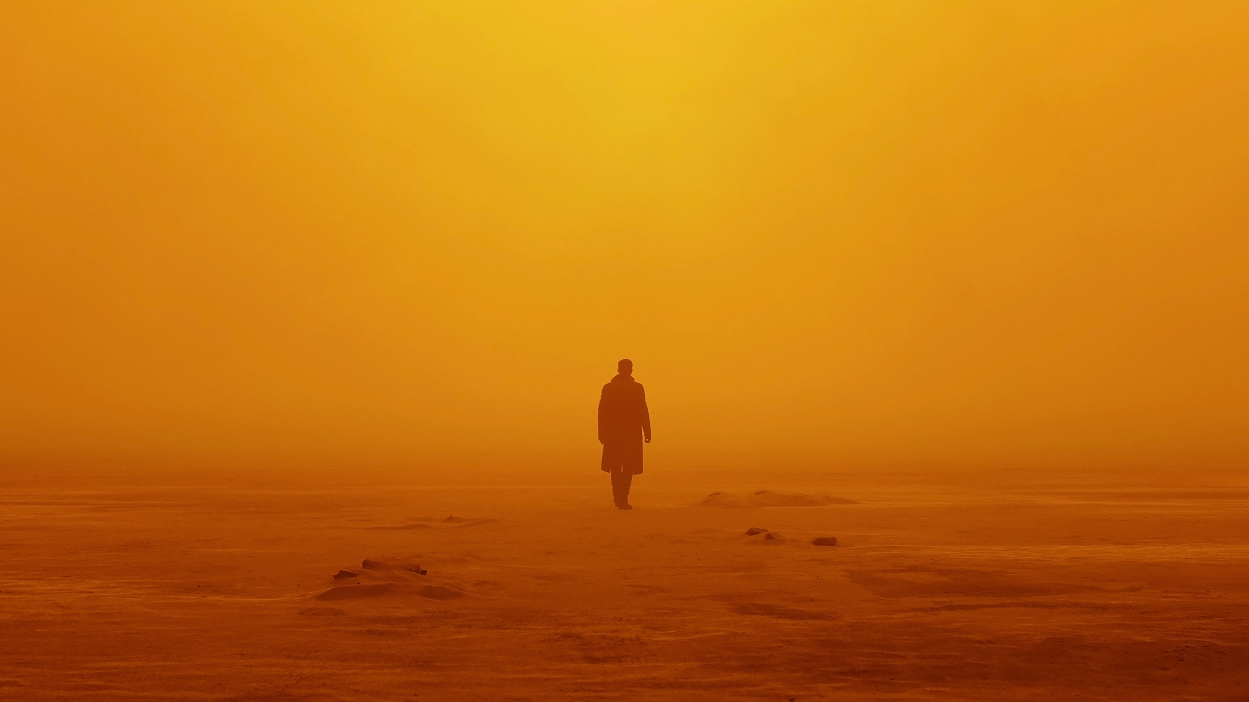 Officer K Blade Runner 2049 Wallpapers