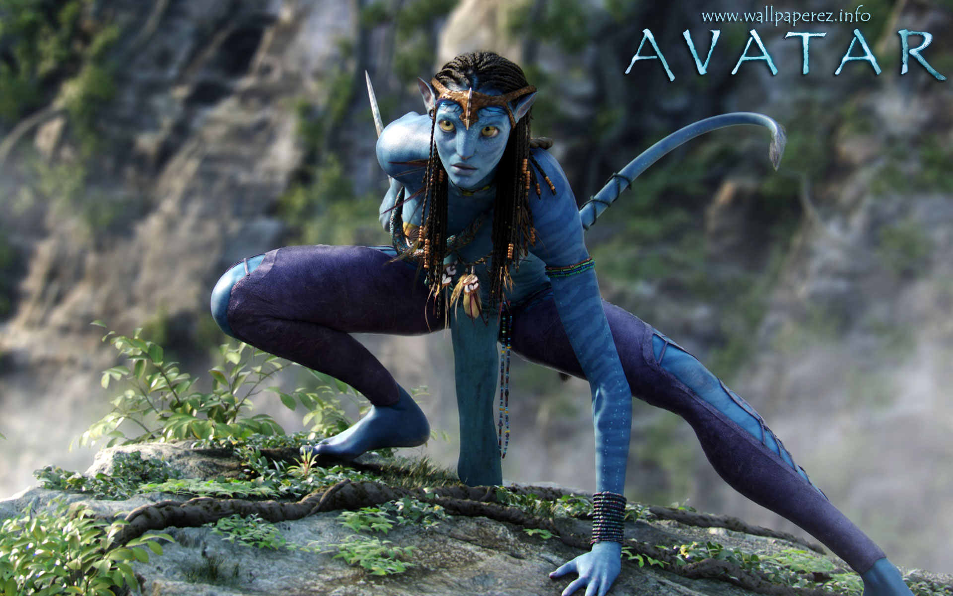 Original Avatar Movie Poster Wallpapers