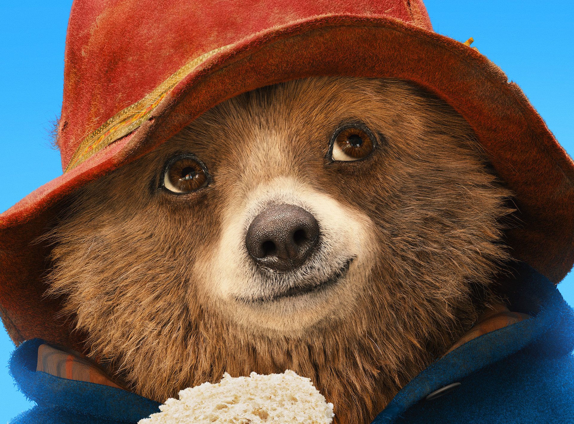 Paddington 2 Bear Wallpapers