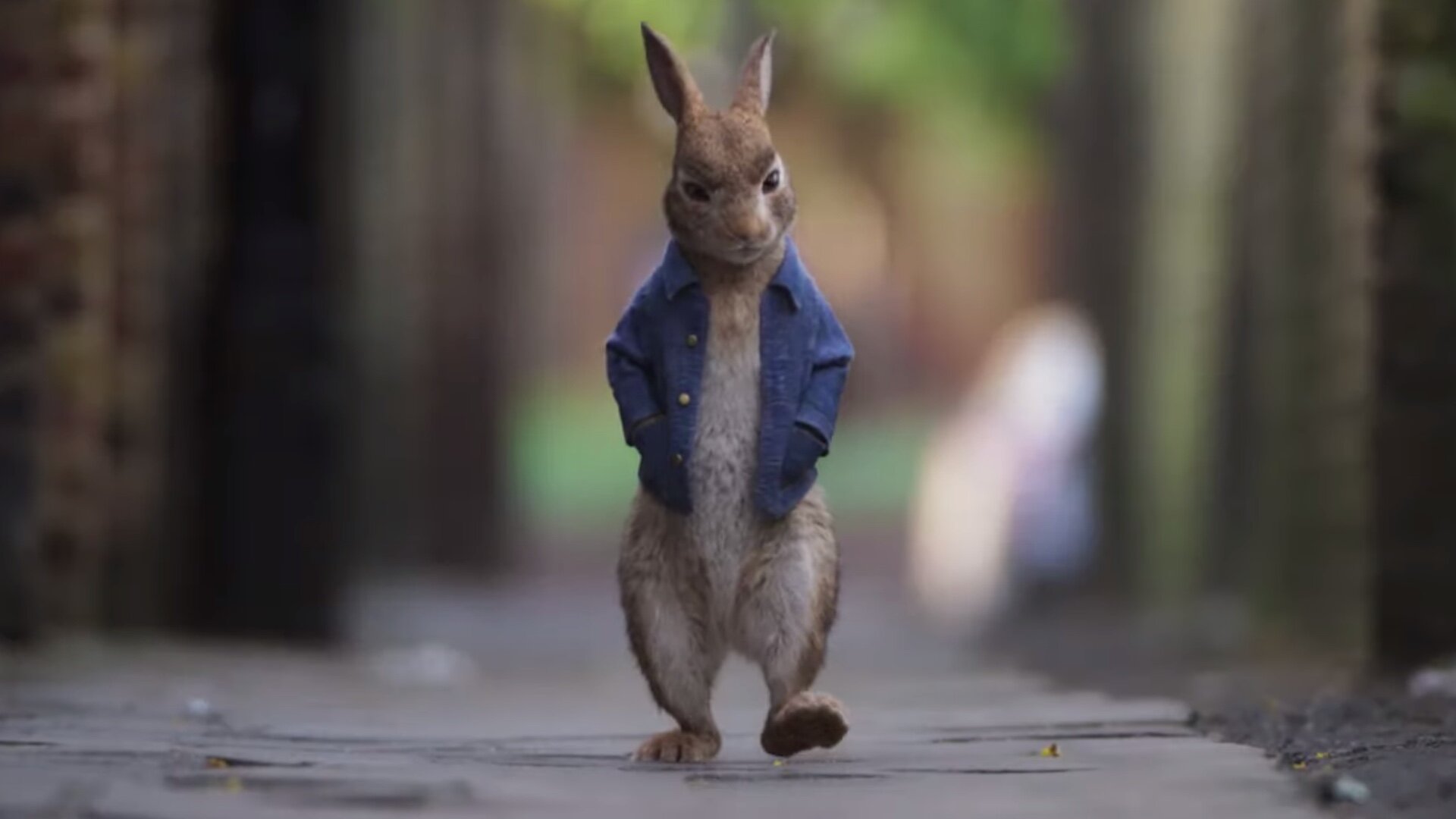 Peter Rabbit 2: The Runaway Wallpapers