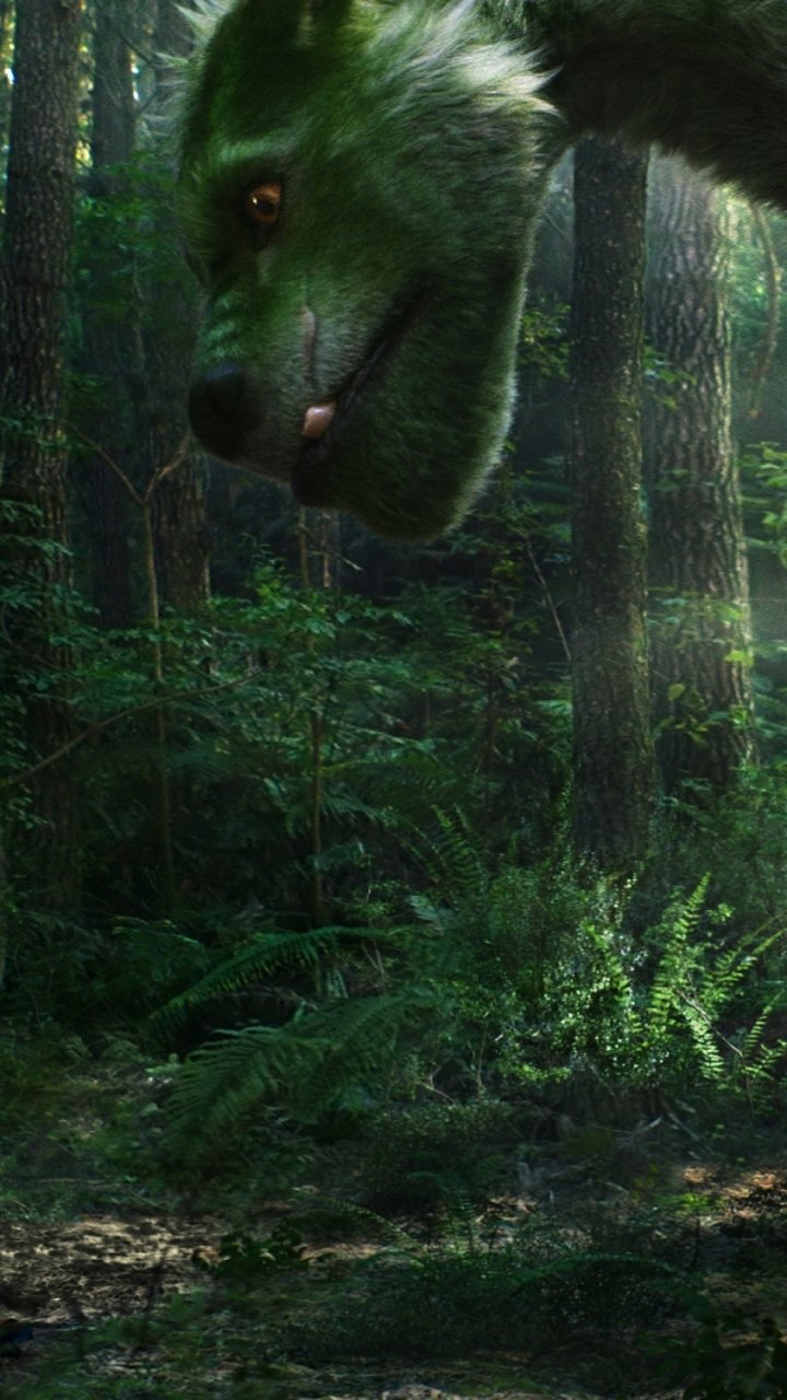 Pete'S Dragon (2016) Wallpapers