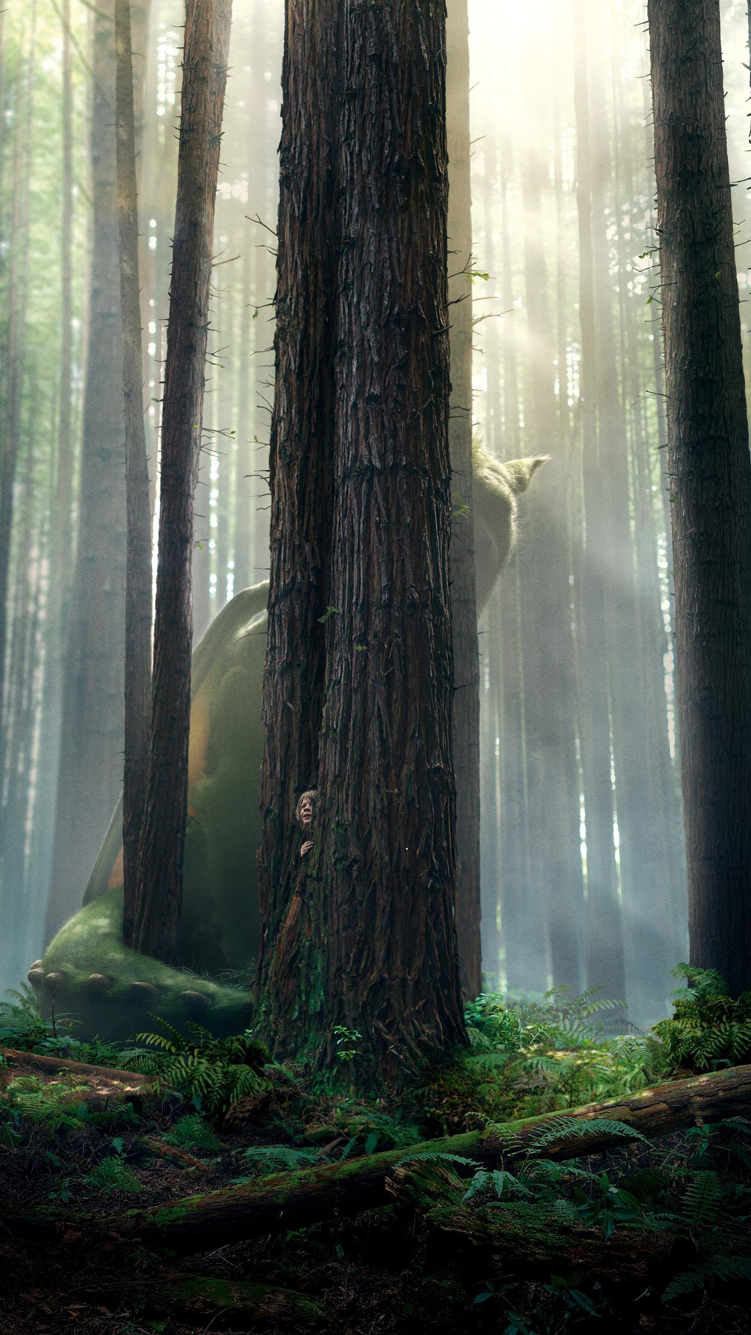 Pete'S Dragon (2016) Wallpapers