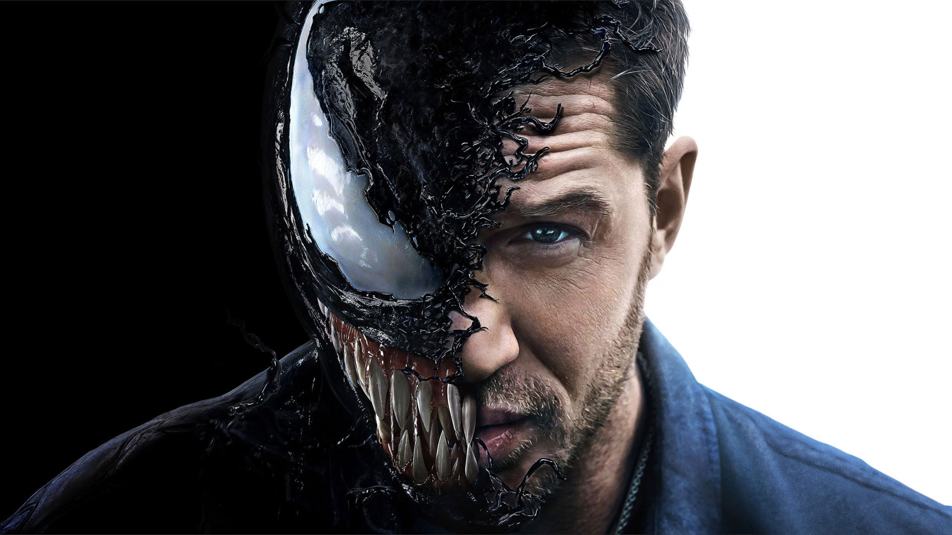 Poster Of Venom 2021 Movie Wallpapers